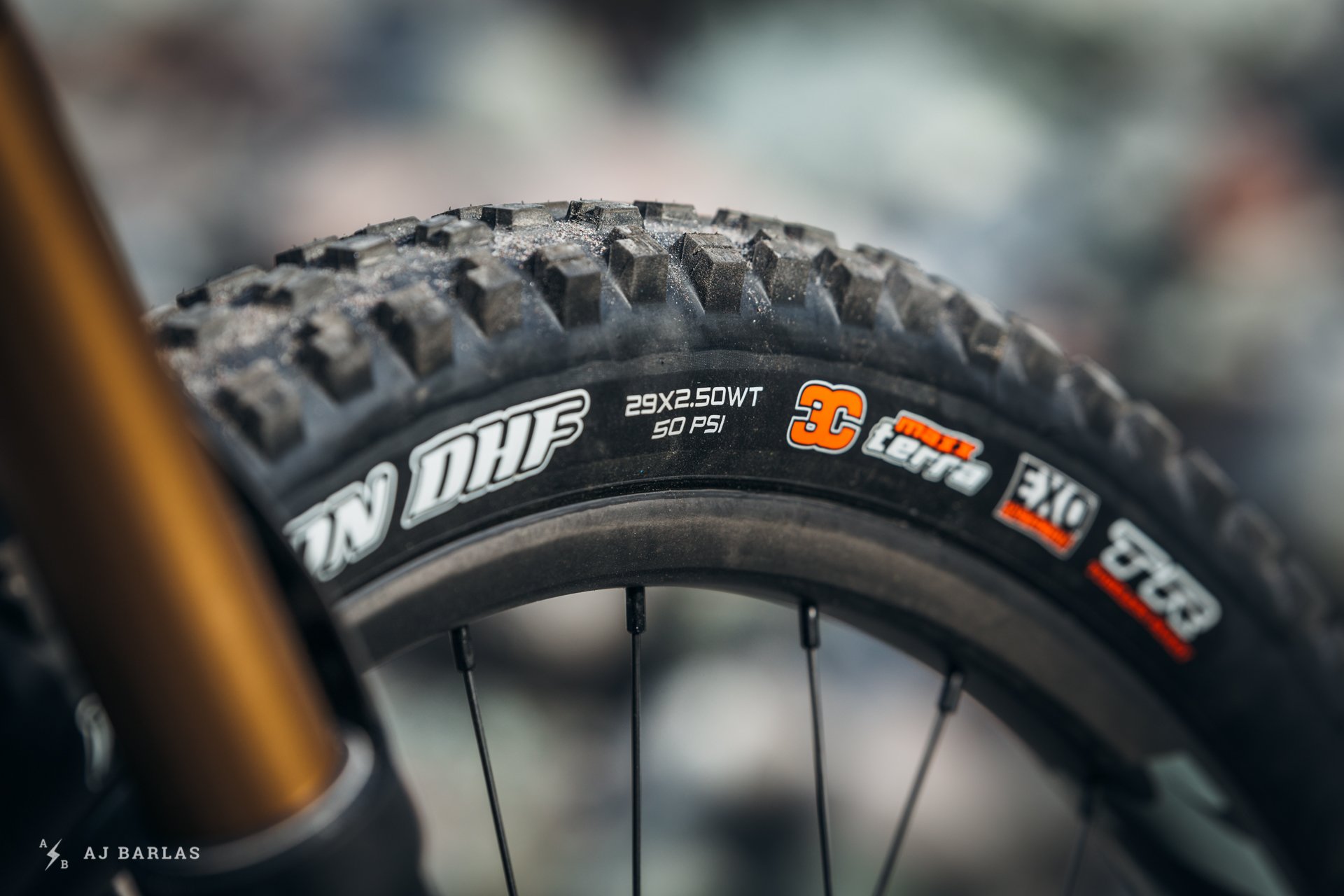 Ibis Ripmo Maxxis 2.5 WT Tires