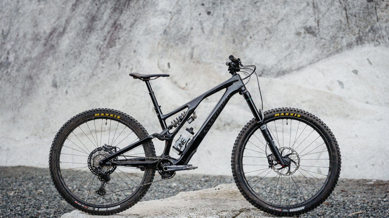 Specialized stumpy evo online 2021