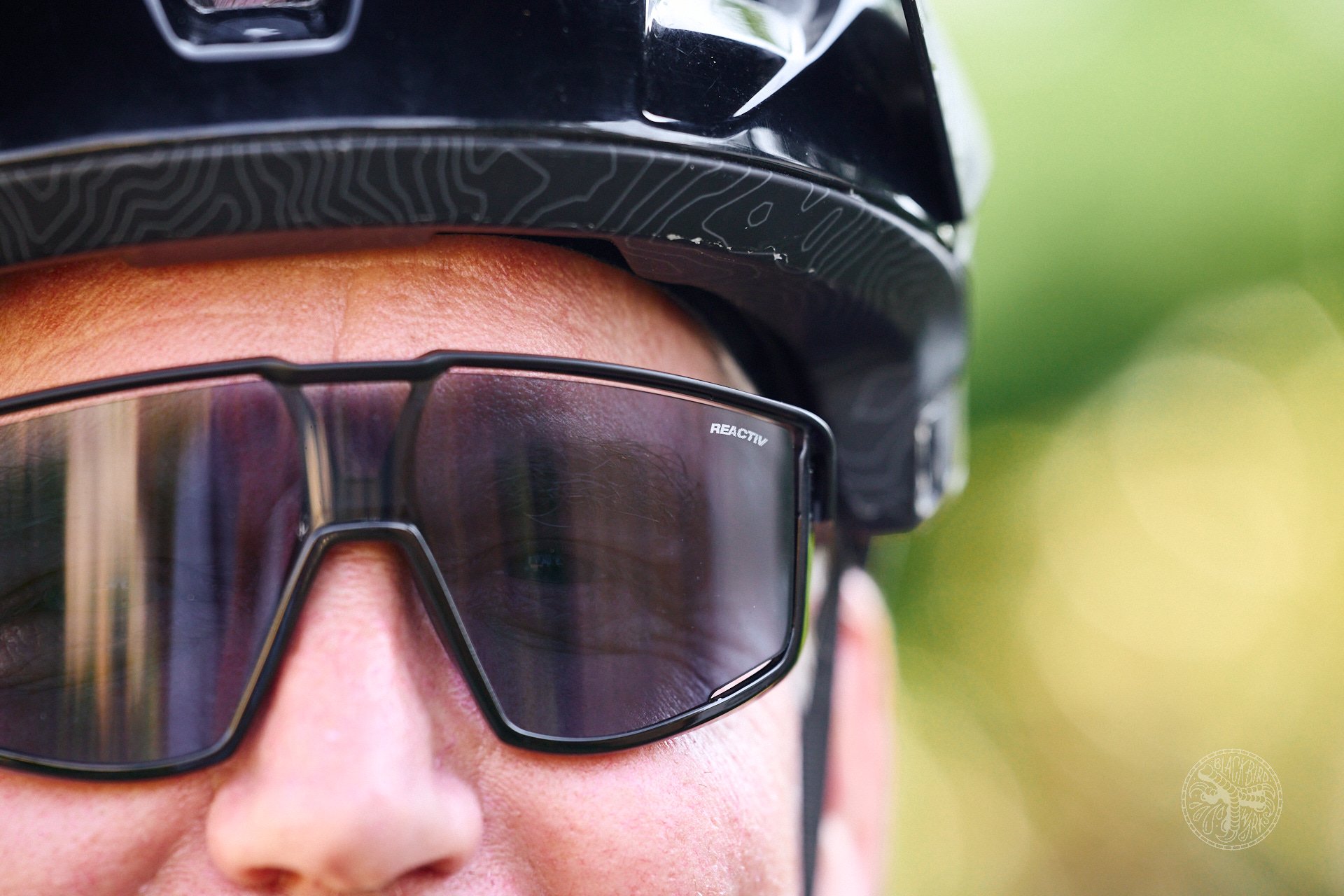 julbophotochromic