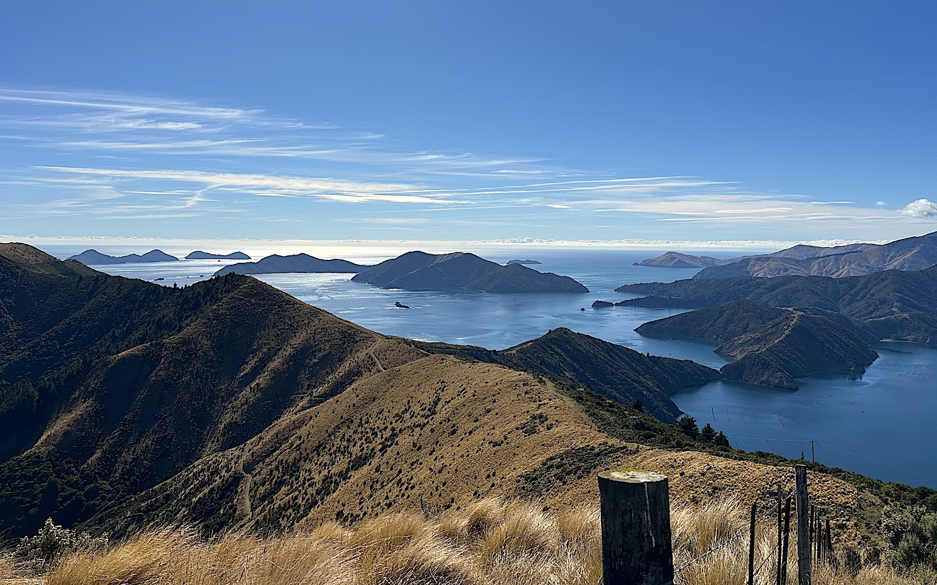 kiwiana2