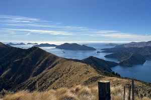 kiwiana2
