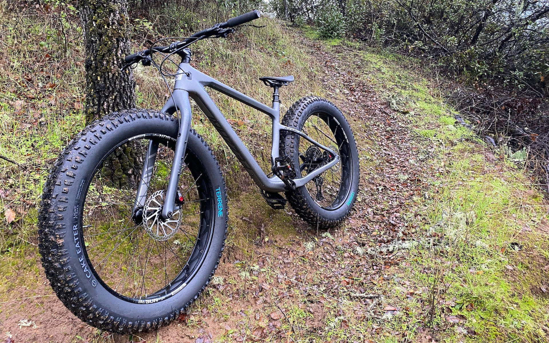 Trek fat tire bike for online sale