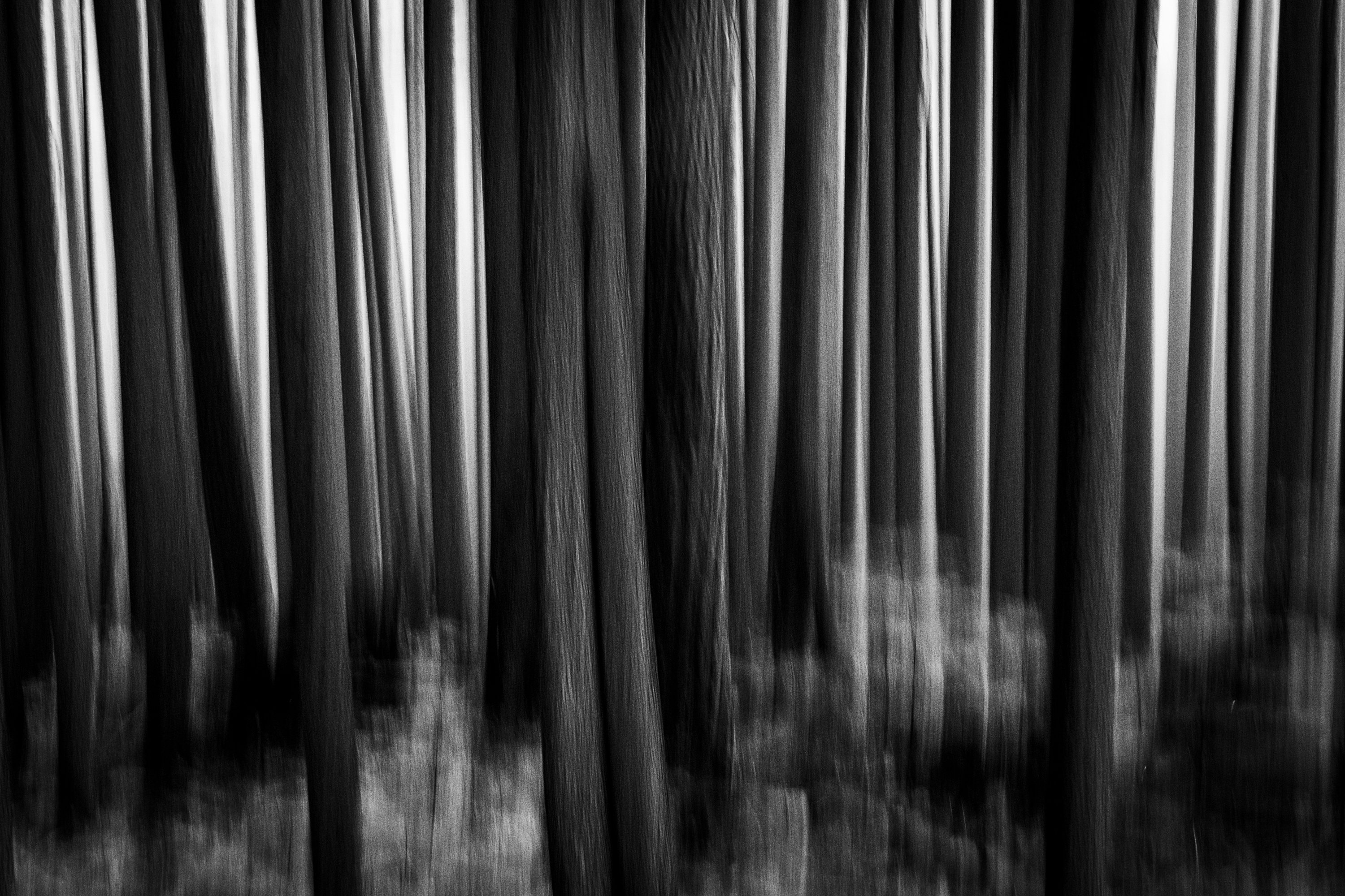 landscape-blur2-2769