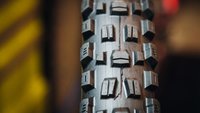 Maxxis Assegai Tire