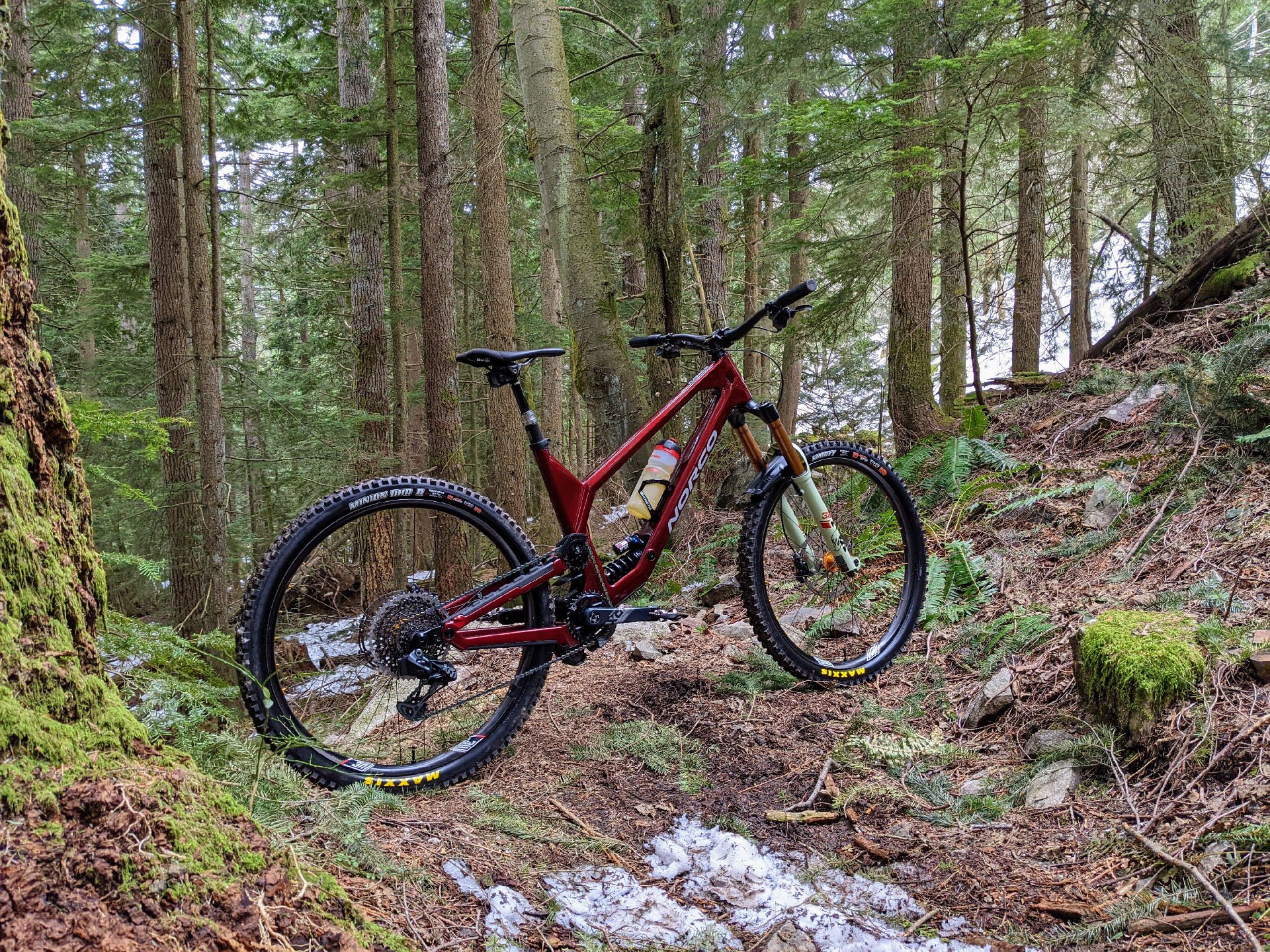 maxxis shorty 2 tire 2022 1