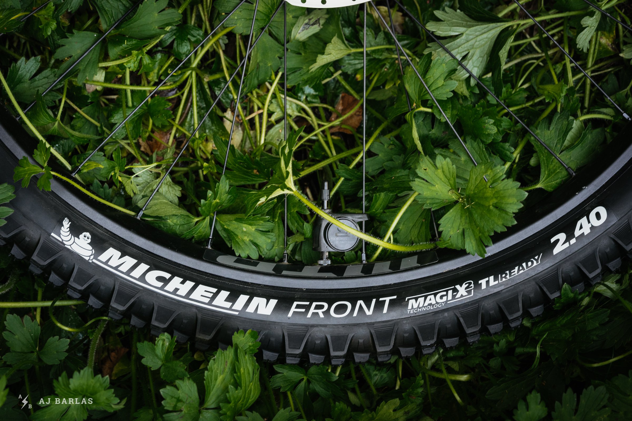 Michelin Wild Enduro Tire Review