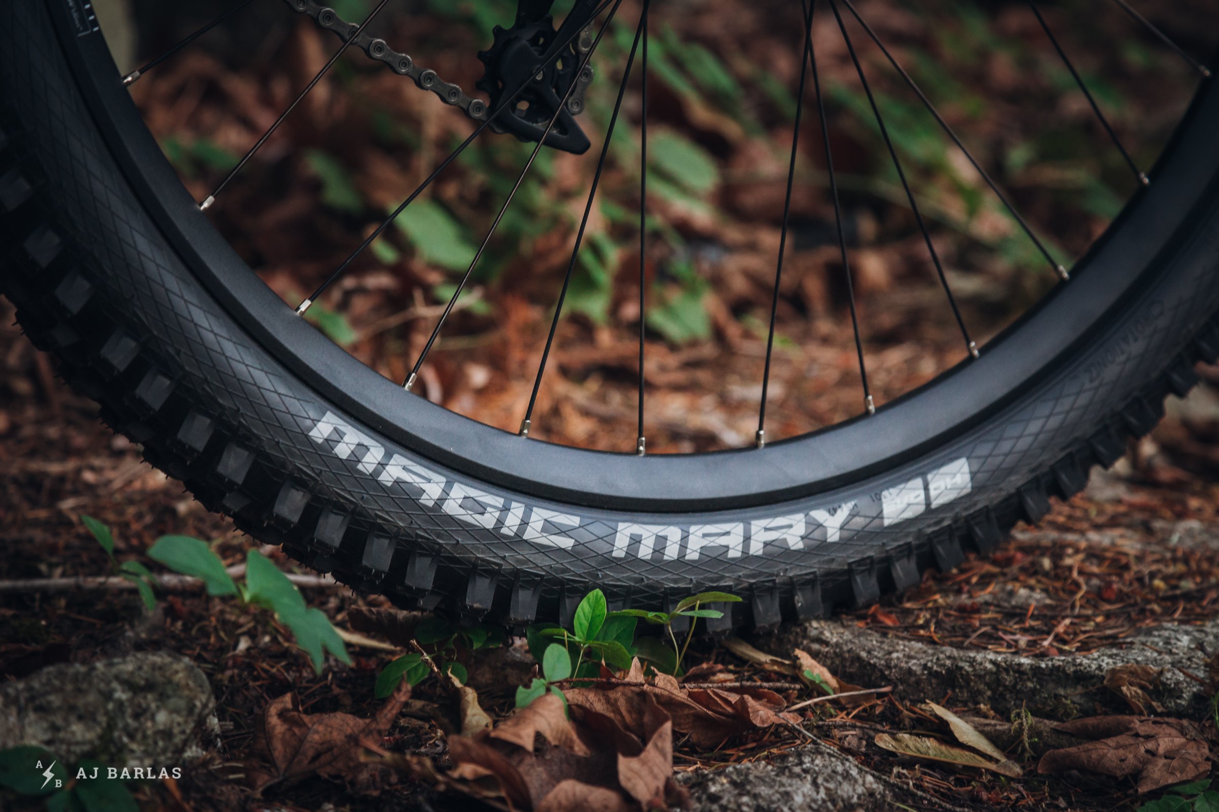 Schwalbe Magic Mary DH Tires