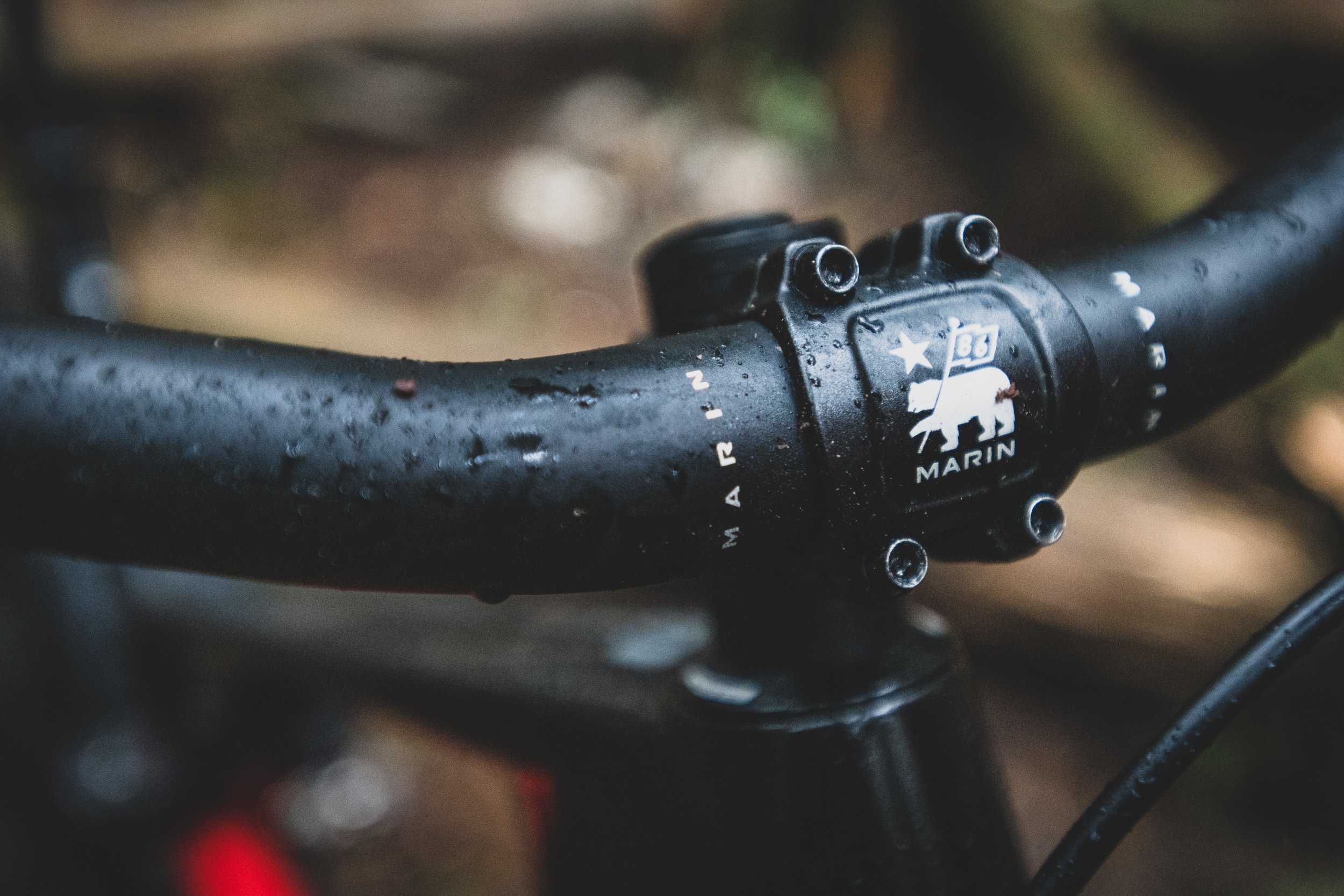 nsmb2019-firstimpressions-marin-mountvision-8710.jpg