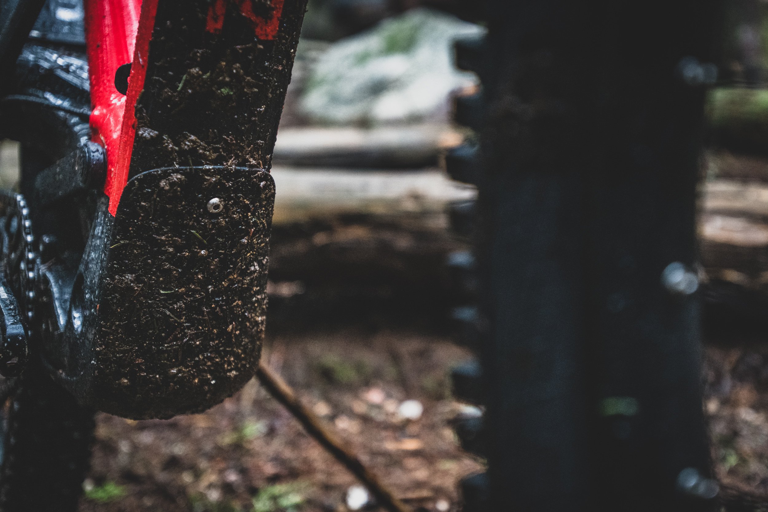 nsmb2019-firstimpressions-marin-mountvision-8717.jpg