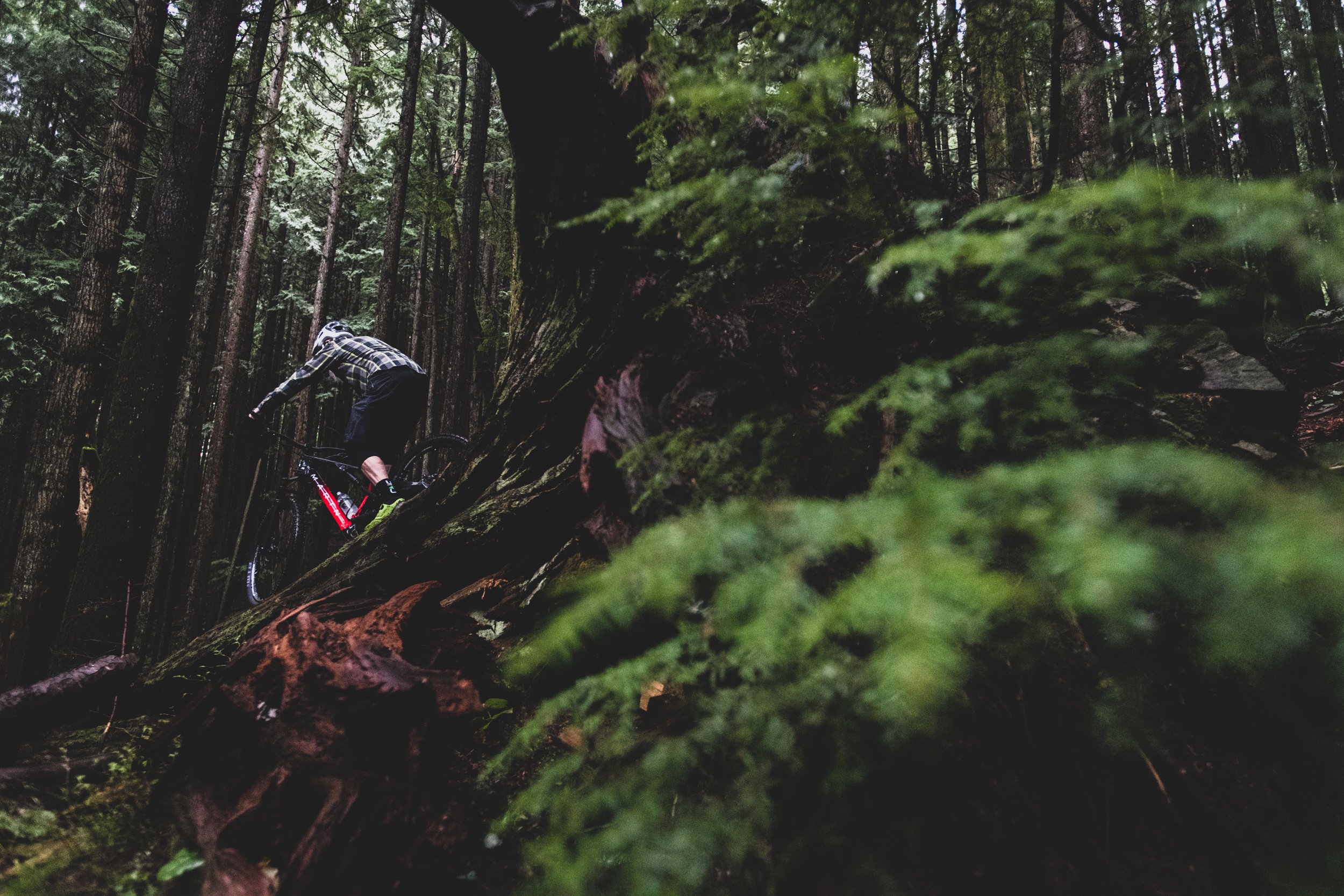 nsmb2019-firstimpressions-marin-mountvision-8782.jpg