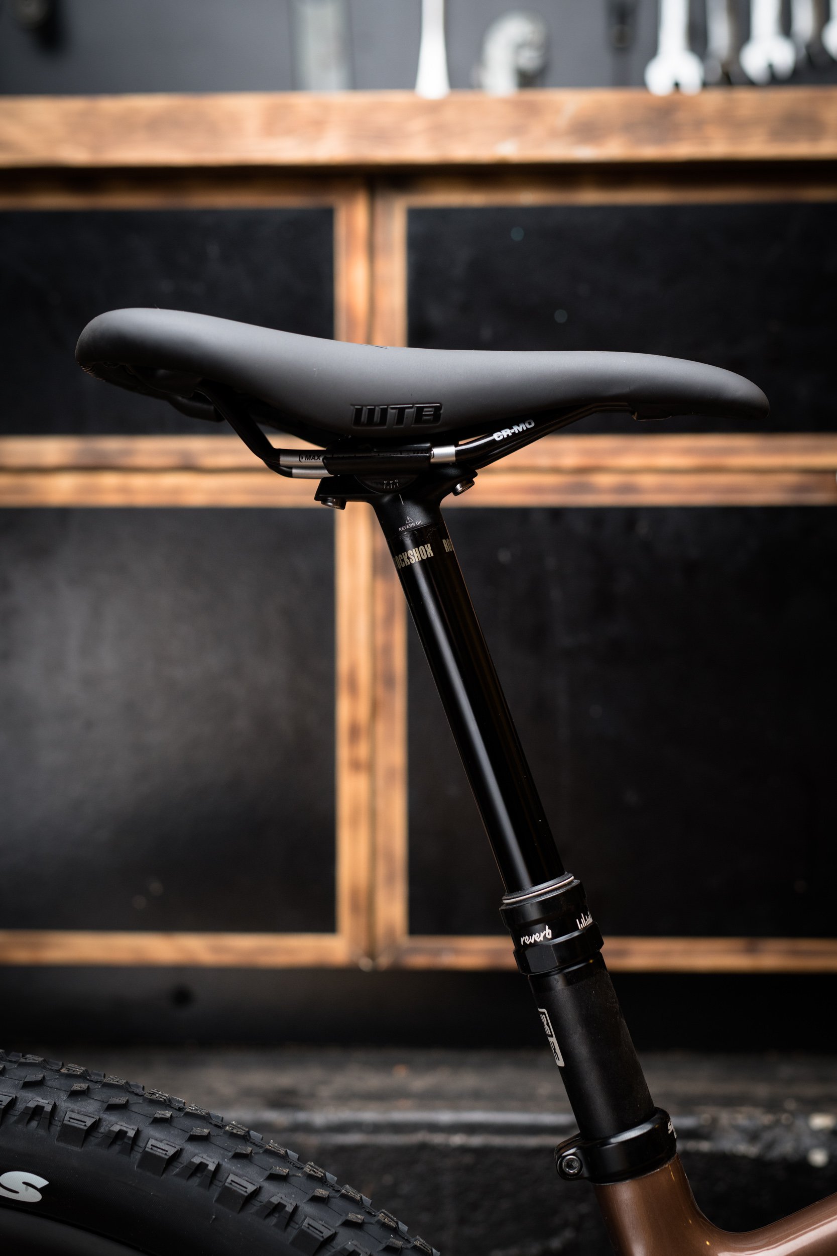 nsmb2019-gearreview-firstlook-santacruz-chameleon-7410.jpg