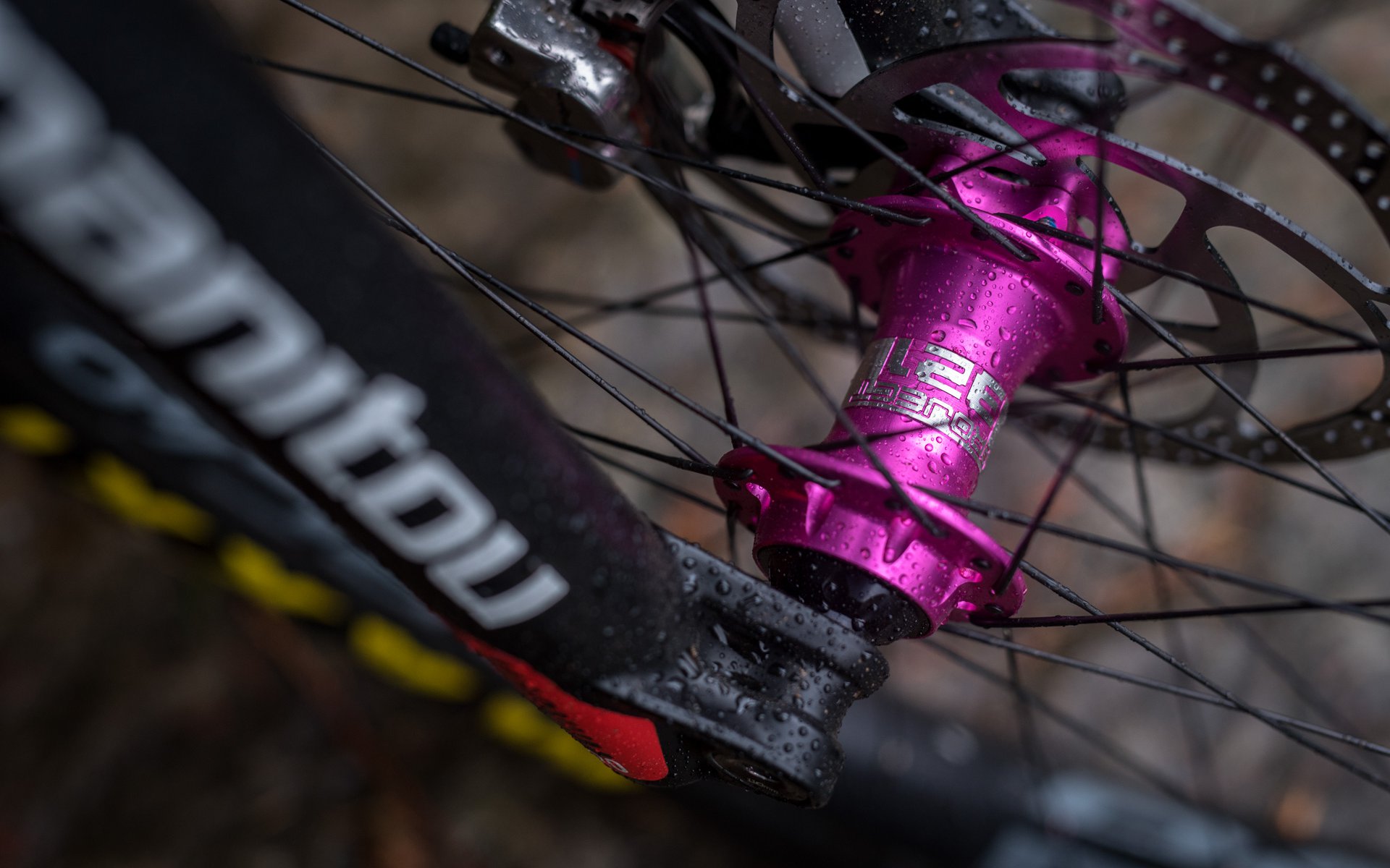 Loud road bike clearance hubs