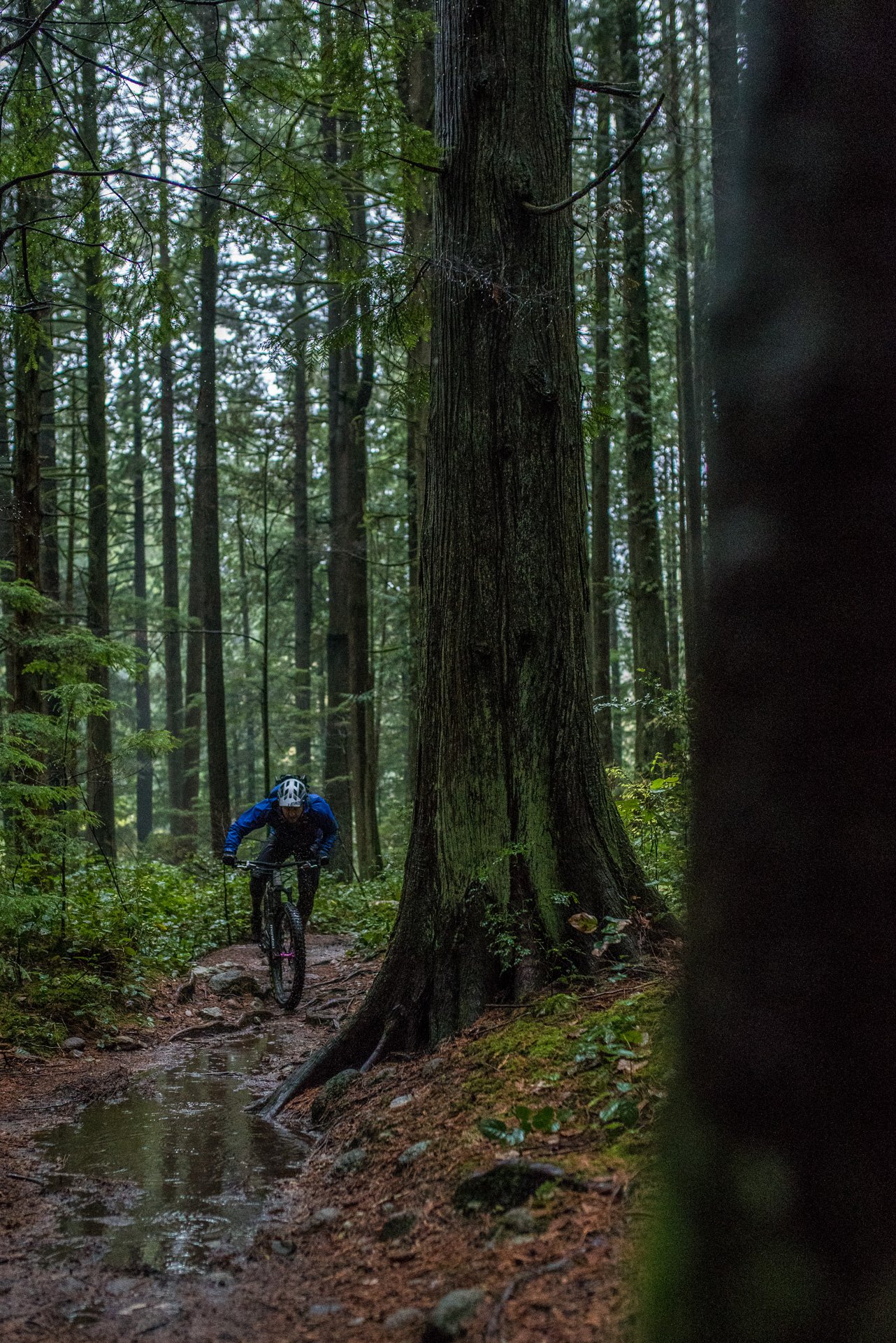 mavic xa pro h2o gtx spd mtb shoes