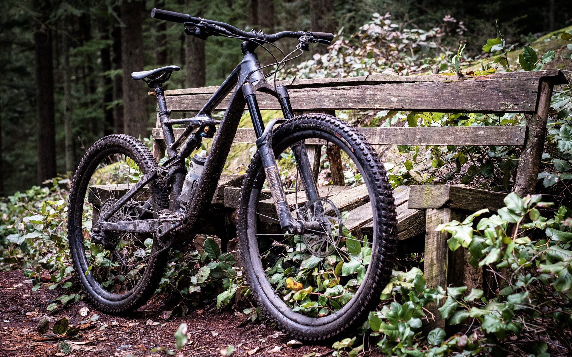 specialized enduro s works