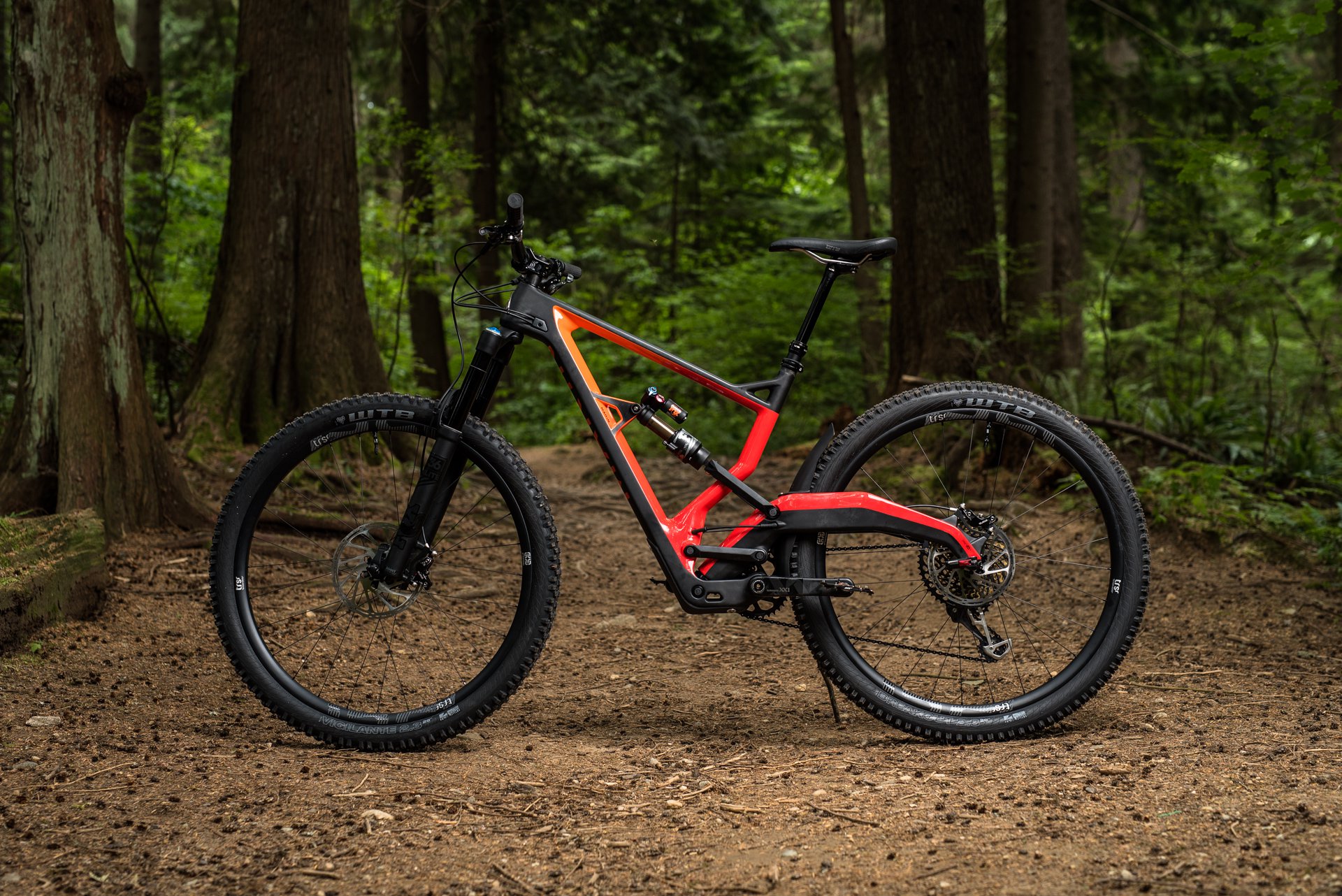 Marin wolf shop ridge 8