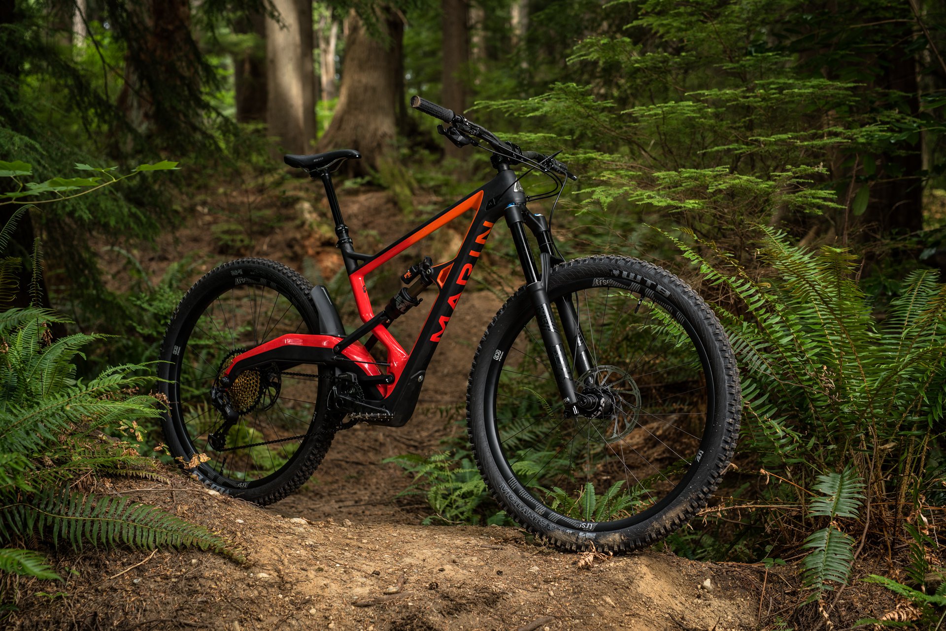 Marin wolf 2024 ridge pro