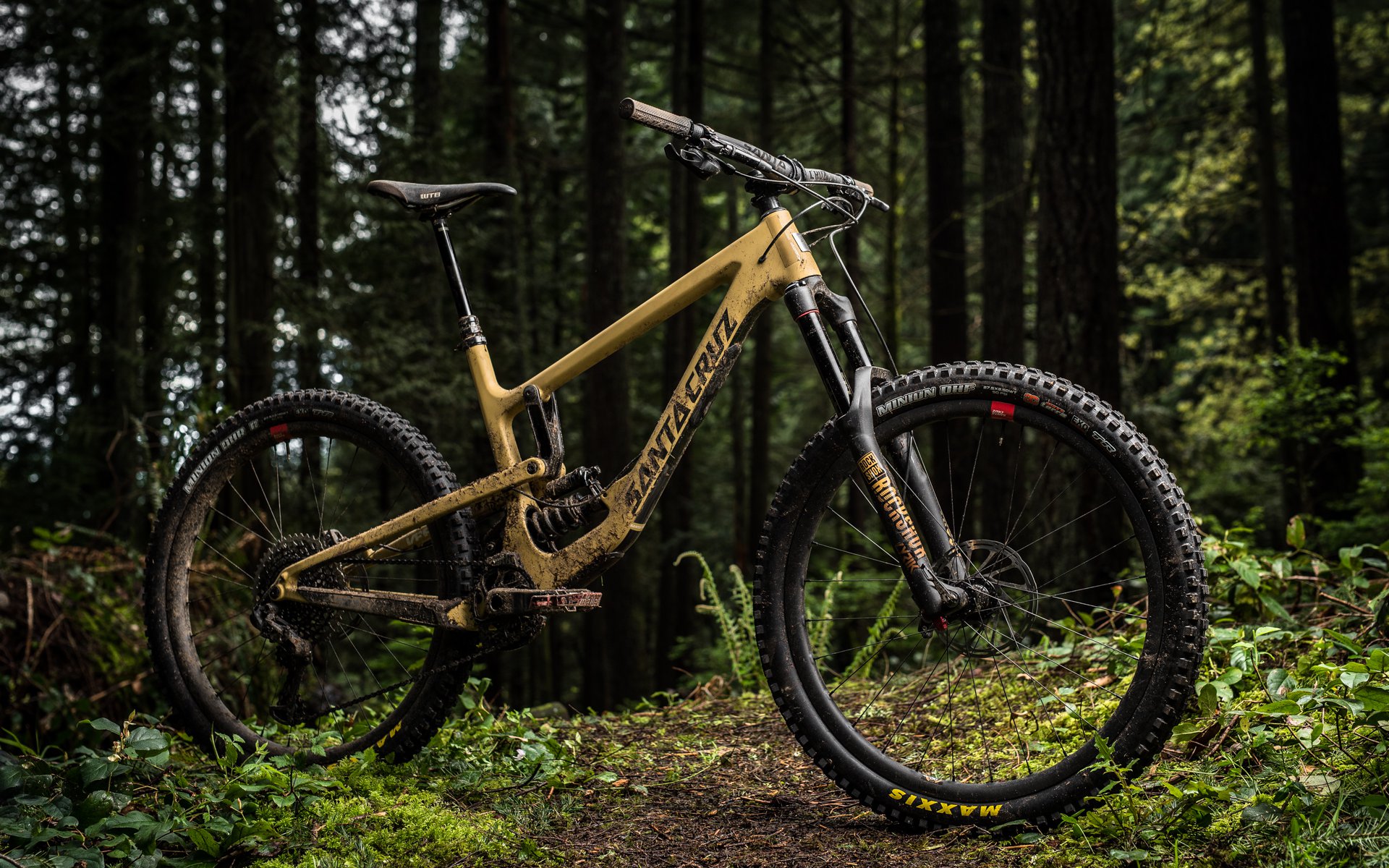 santa cruz nomad 2019