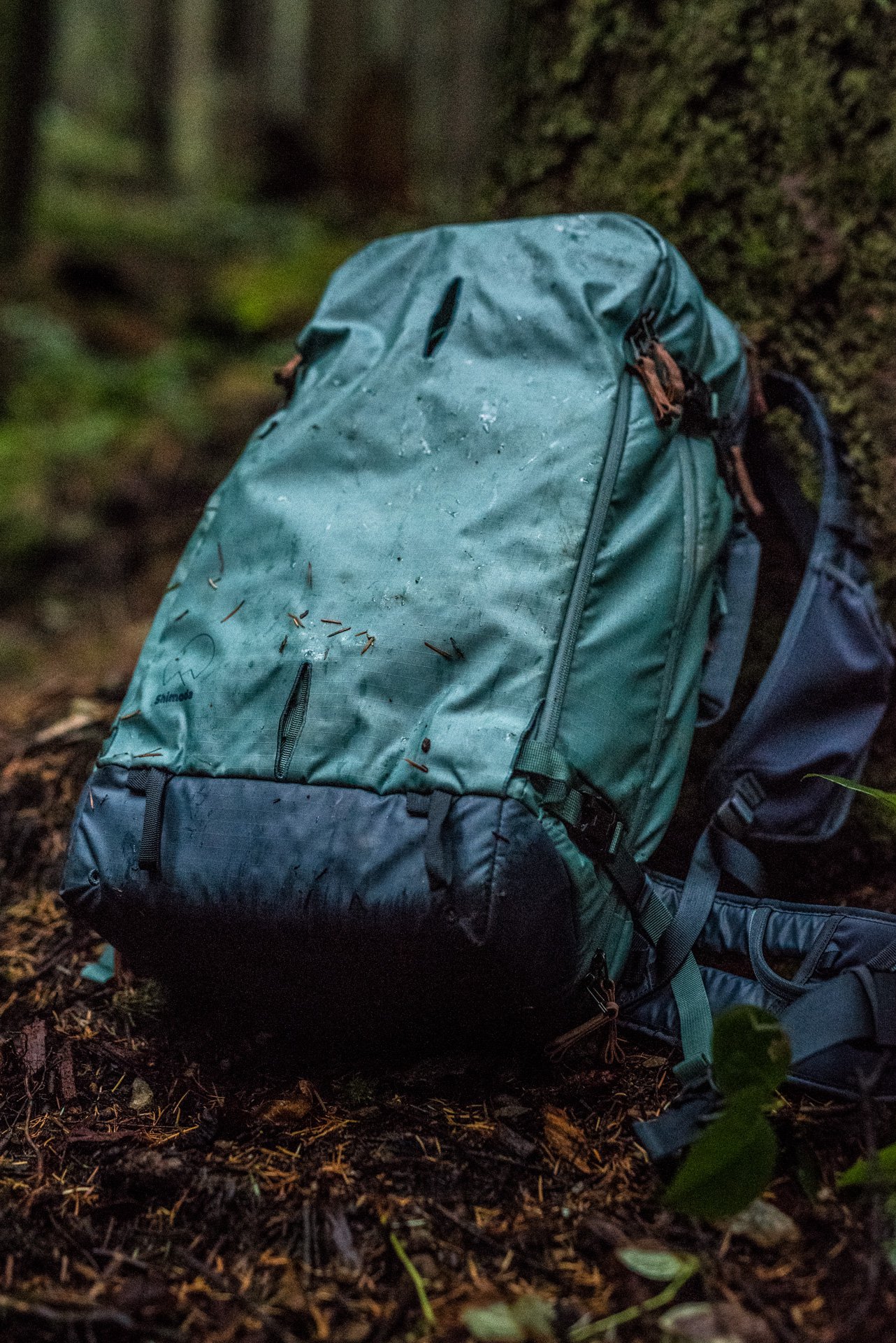 Shimoda Designs Explore 40 Backpack - Sea Pine V520-002