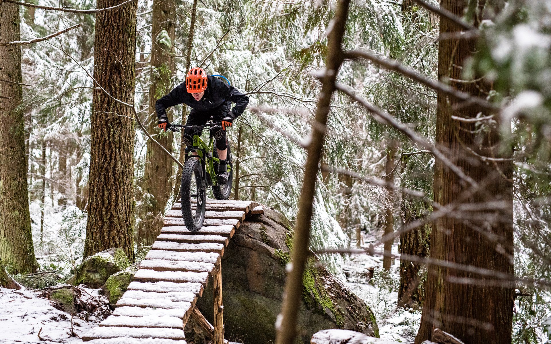 bucksaw fat bike