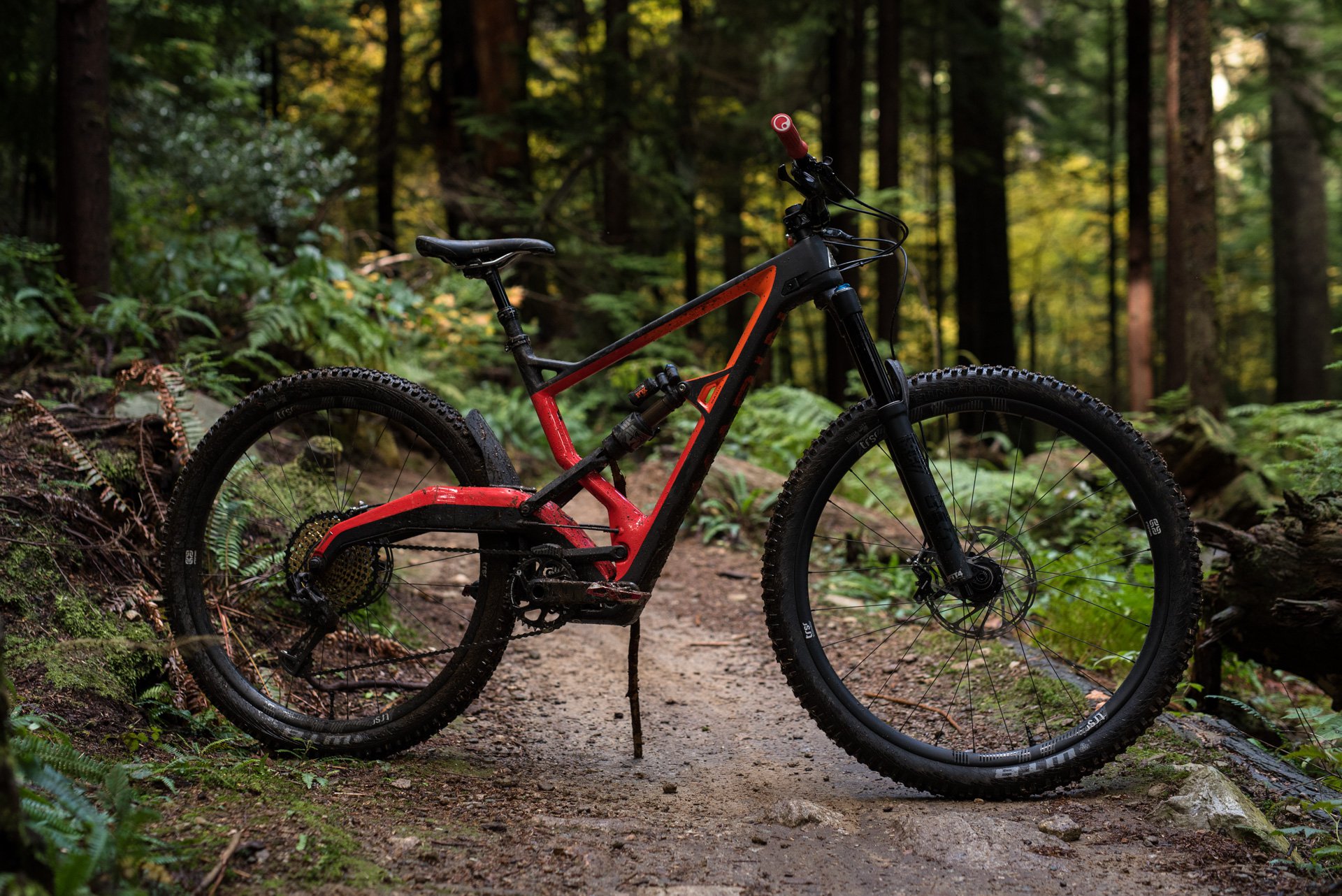 marin wolf ridge pro