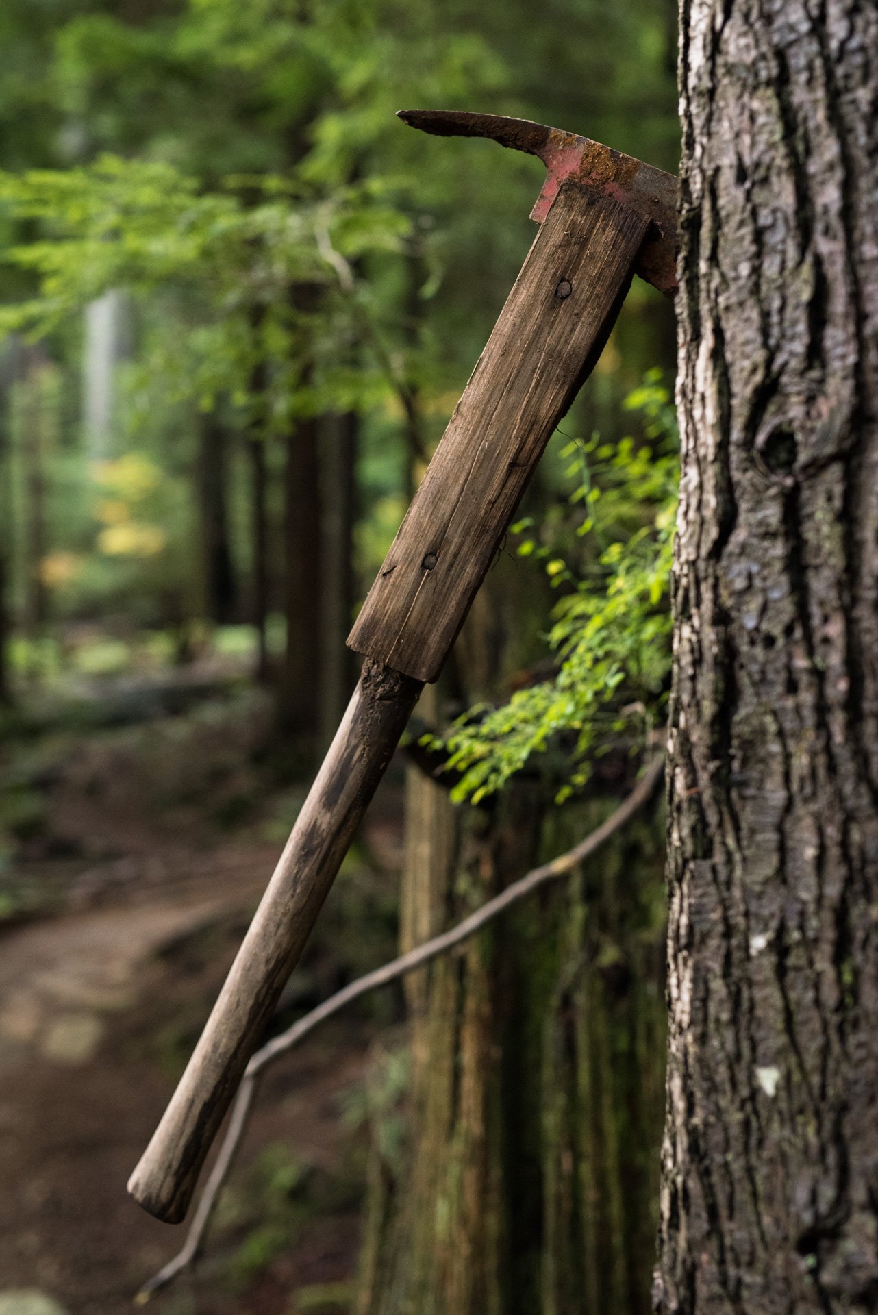 nsmb_2017_marin_wolfridge_7mesh-6889-40.jpg