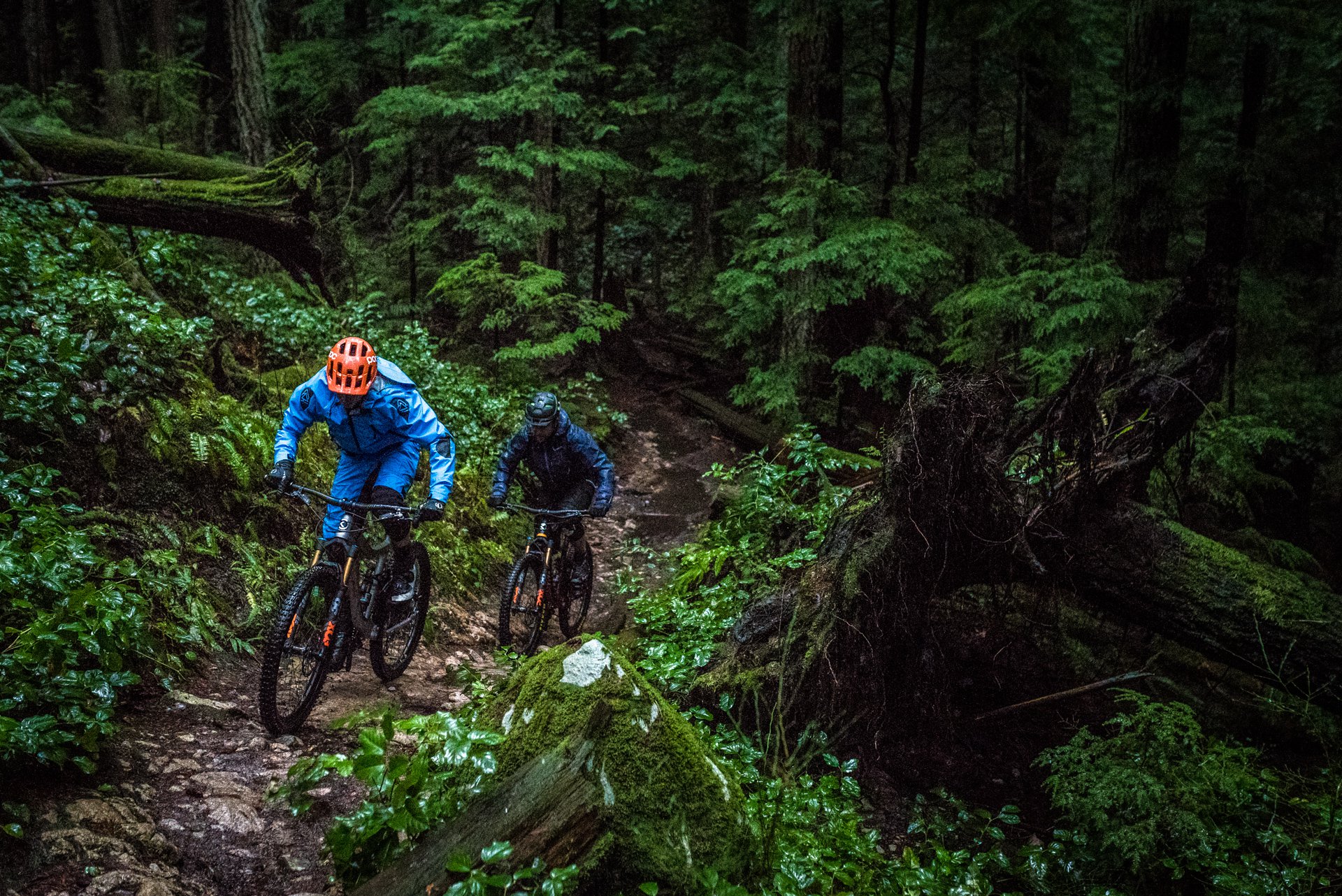 nsmb_2018__gearreviewknollywarden_alum_carbon-2603.jpg