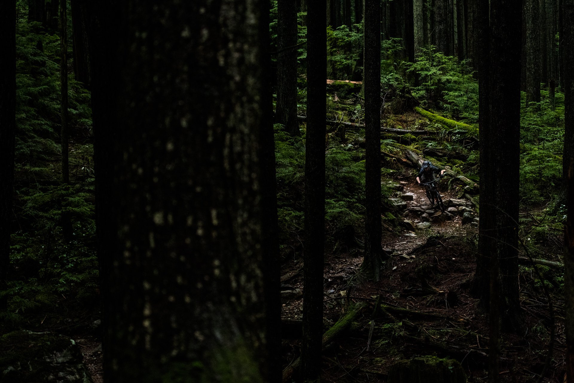 nsmb_2018__gearreviewknollywarden_alum_carbon-3188.jpg