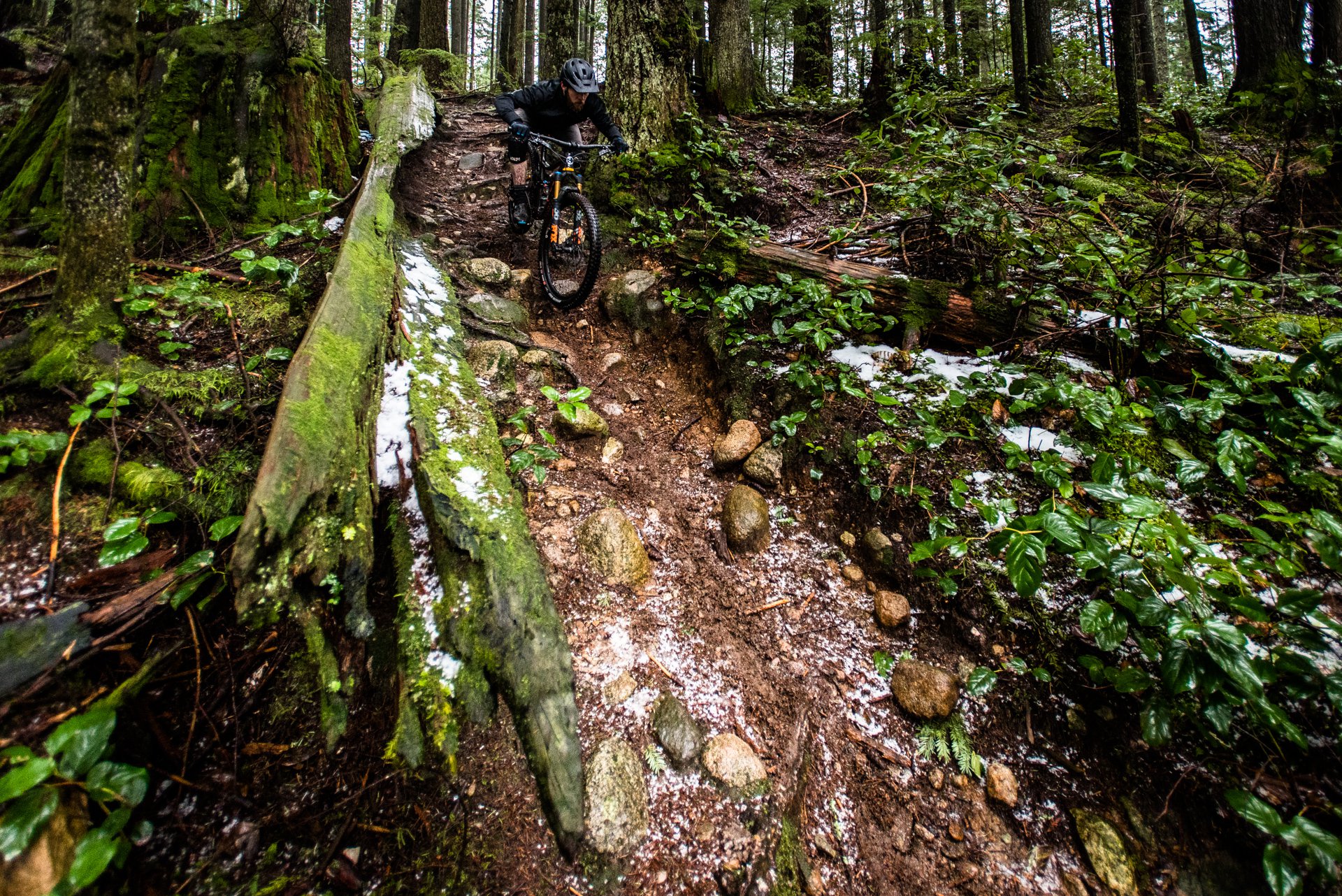 nsmb_2018__gearreviewknollywarden_alum_carbon-3661.jpg