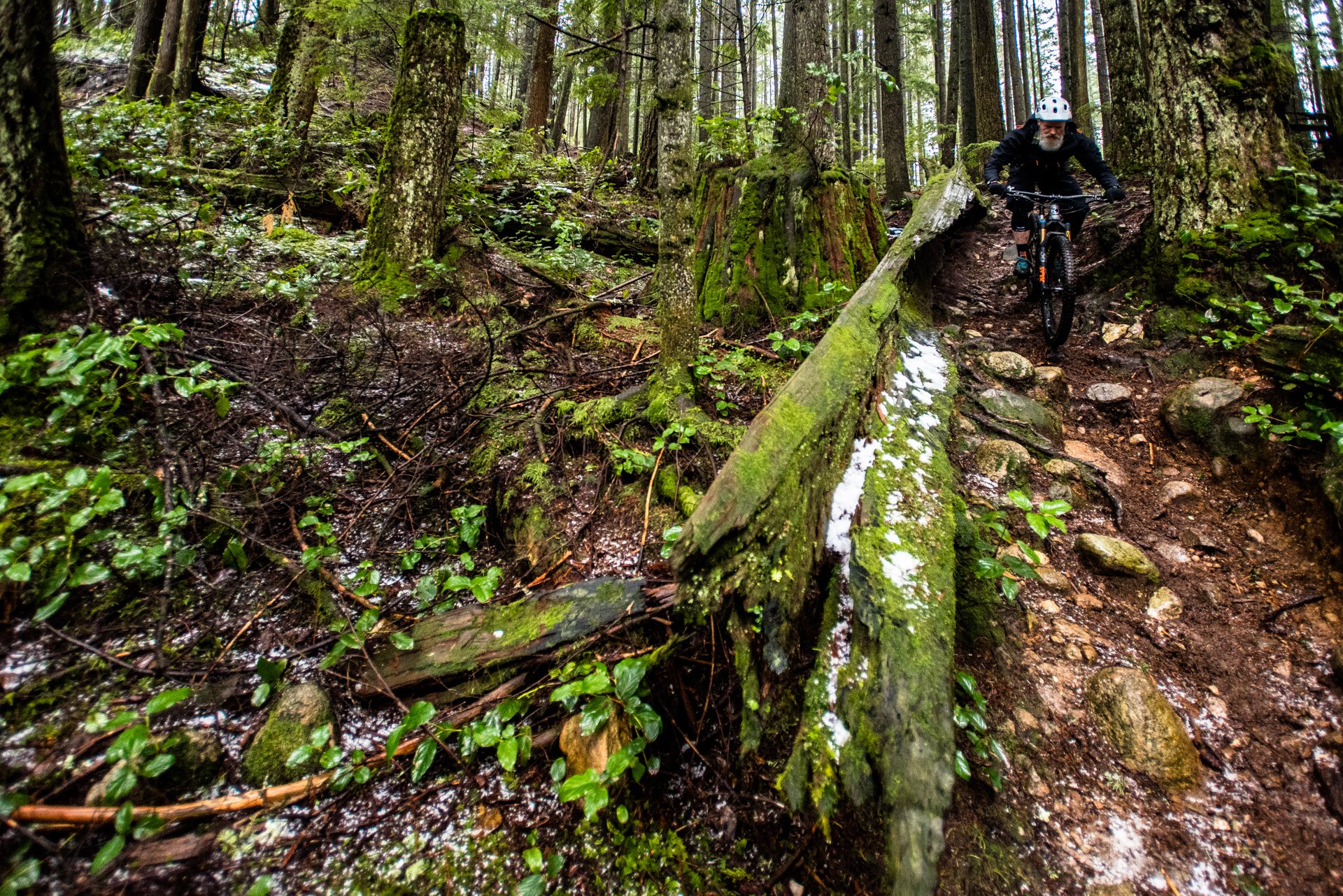 nsmb_2018__gearreviewknollywarden_alum_carbon-3656.jpg