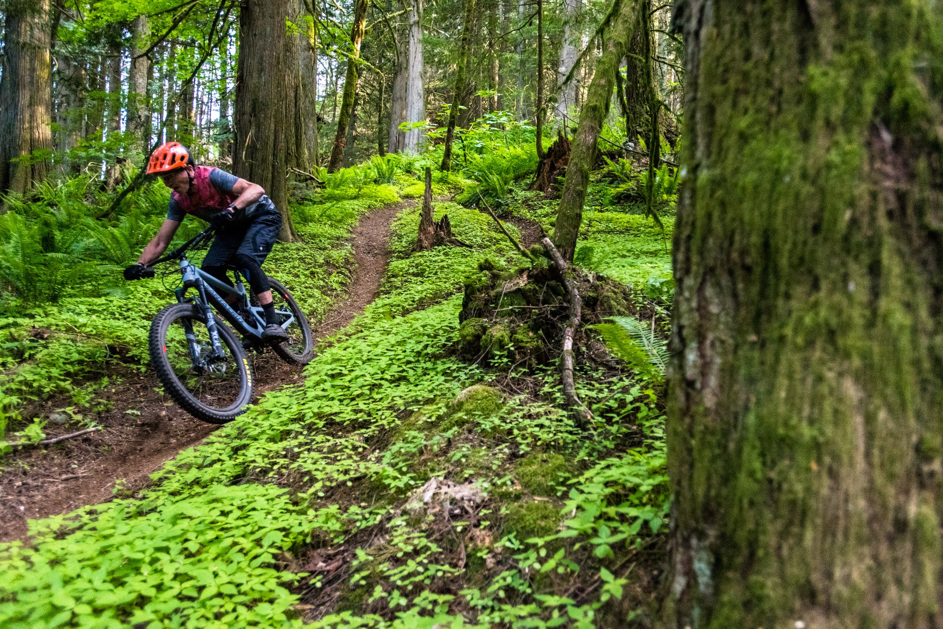 nsmb_2018_gearreview_firstimpressions_santacruz_bronson_5010-7054.jpg