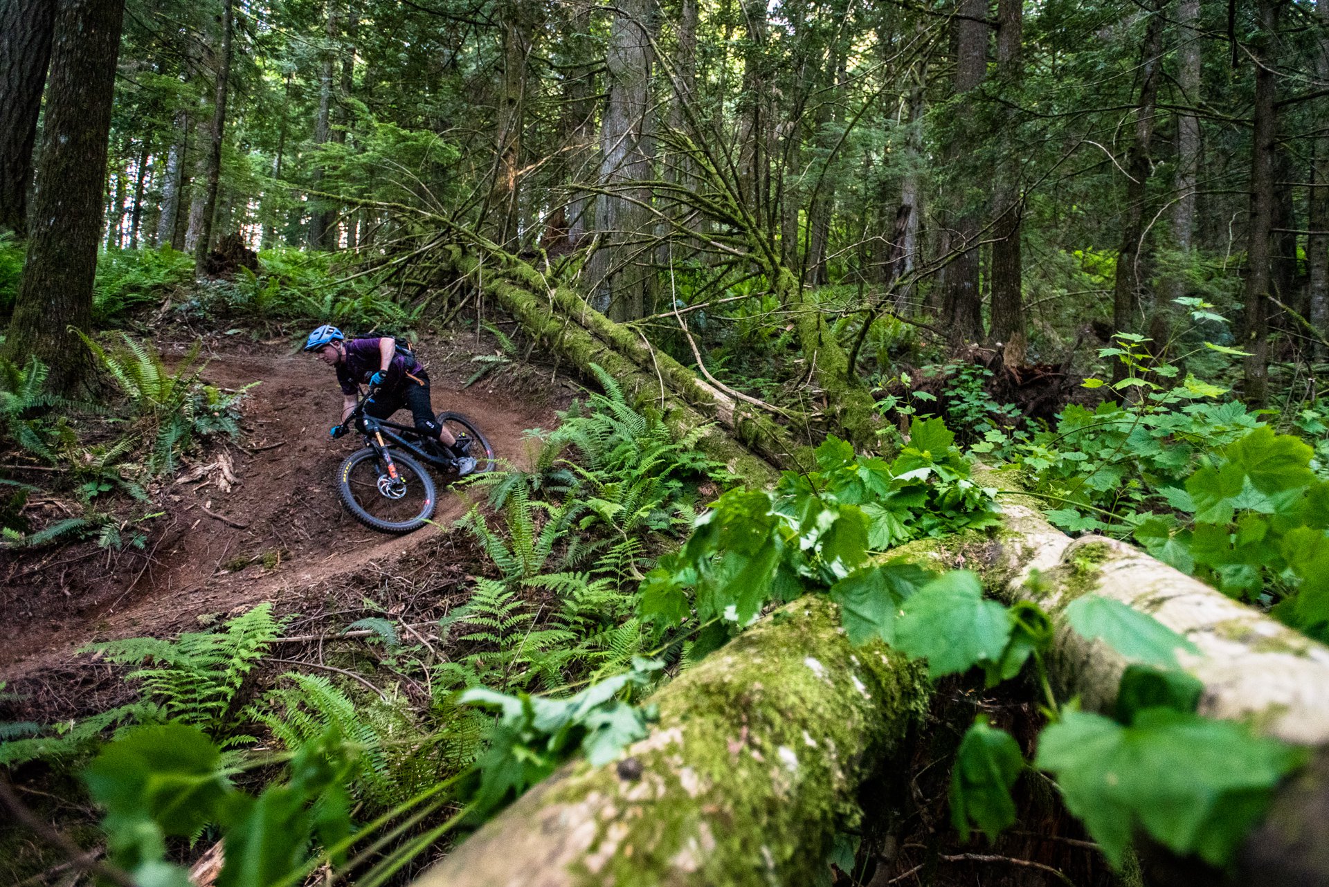 nsmb_2018_gearreview_firstimpressions_santacruz_bronson_5010-7146.jpg
