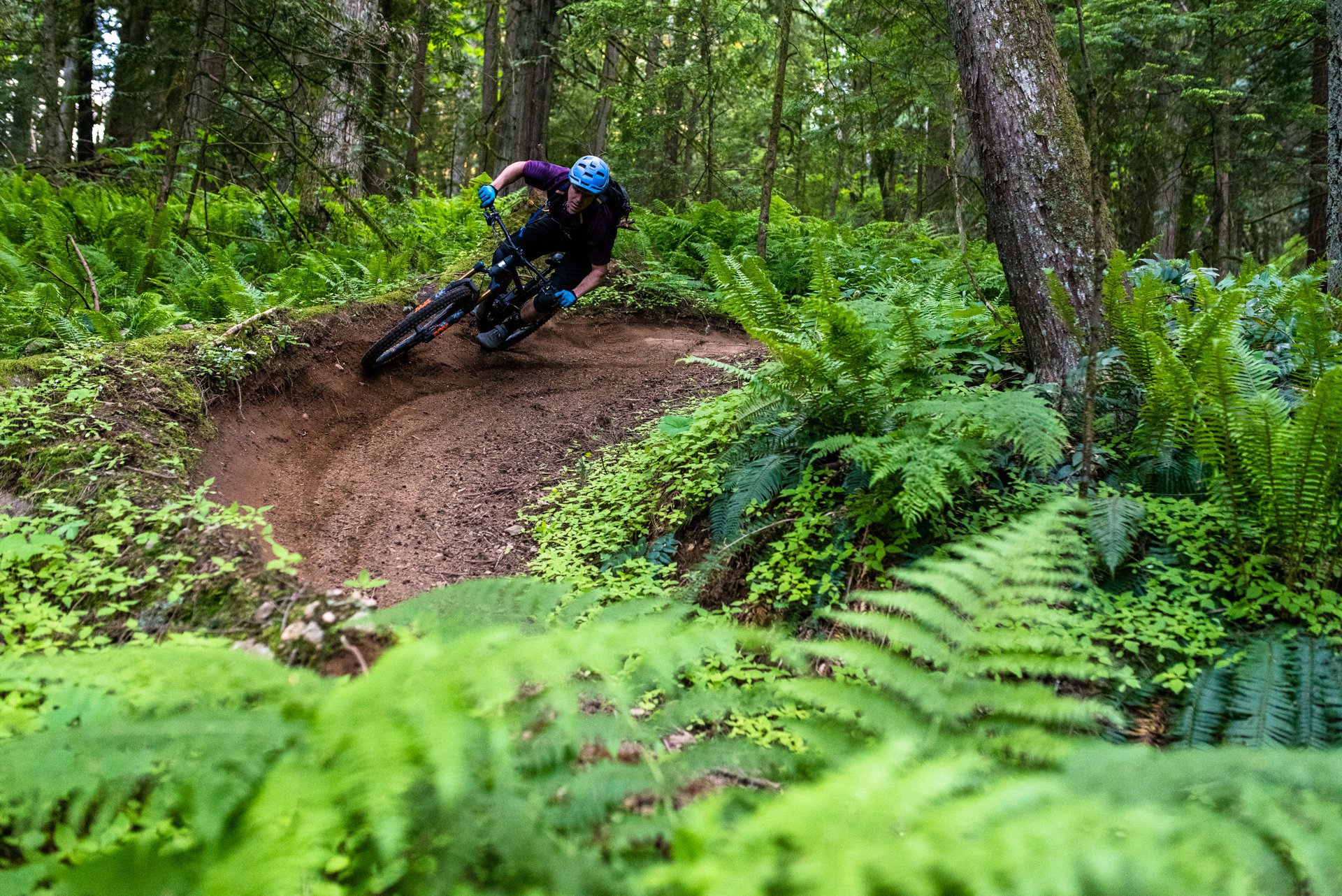 nsmb_2018_gearreview_firstimpressions_santacruz.original_EZvYFqb.jpg