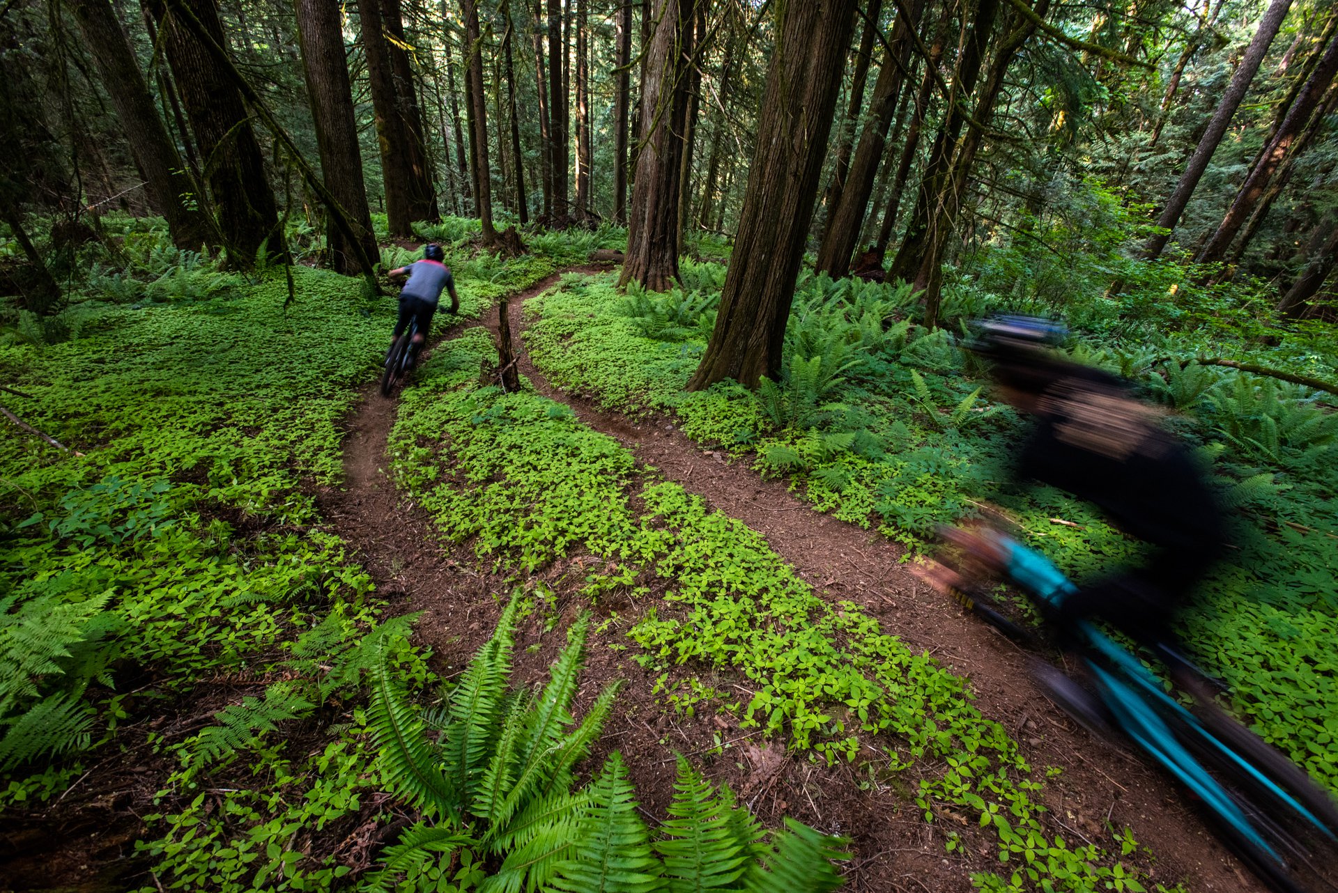 2019 Santa Cruz Bronson V3 Ridden in B.C