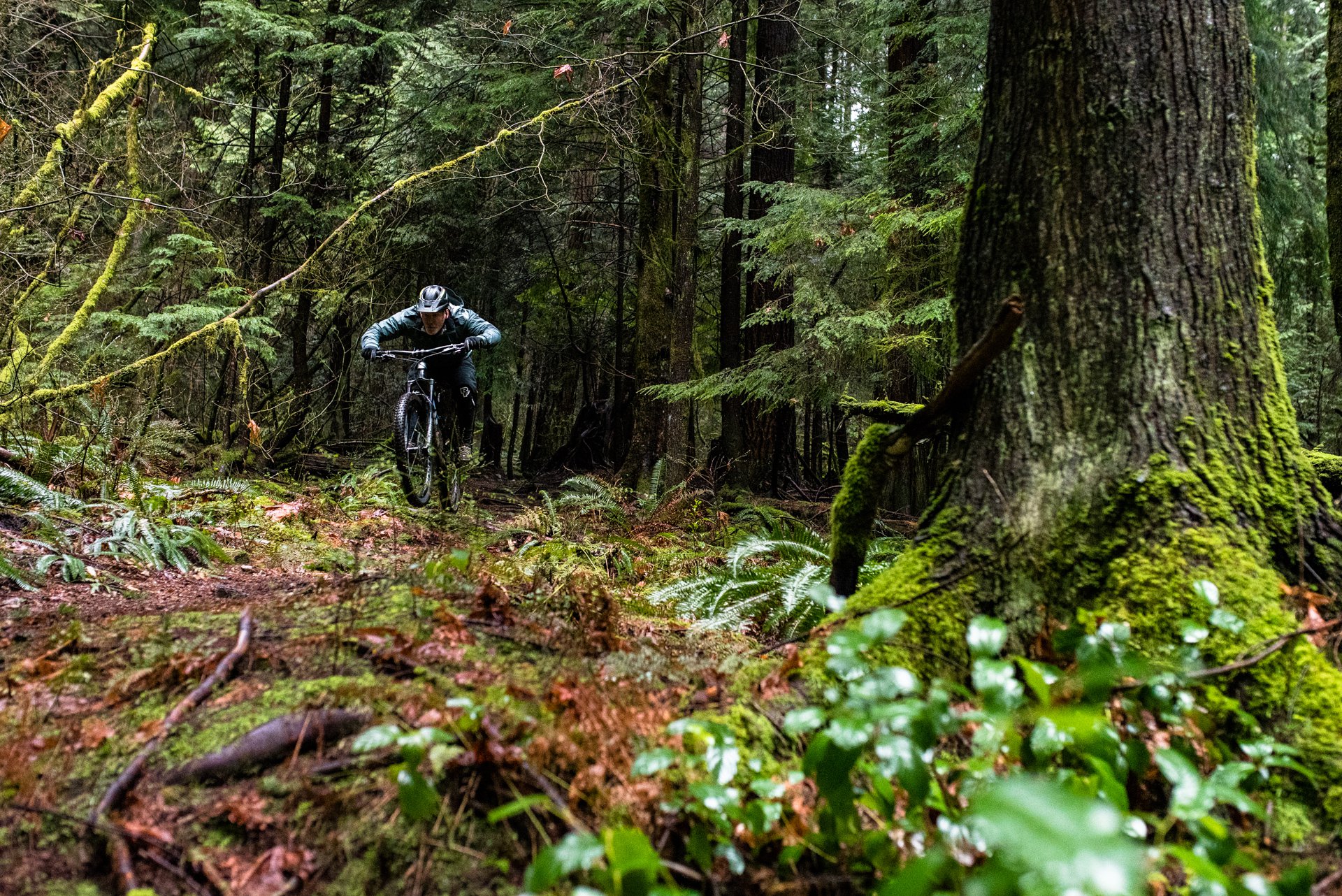 nsmb_2018_gearreview_showerspass-5279-31.jpg