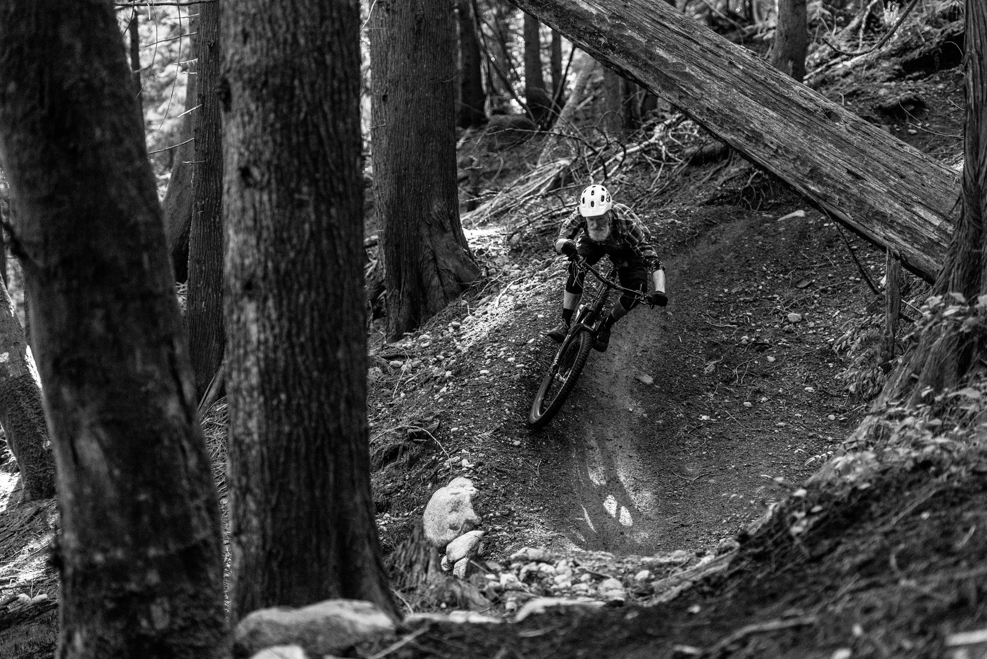 nsmb_2018_gearreview_zerode_taniwha-6725-15.jpg