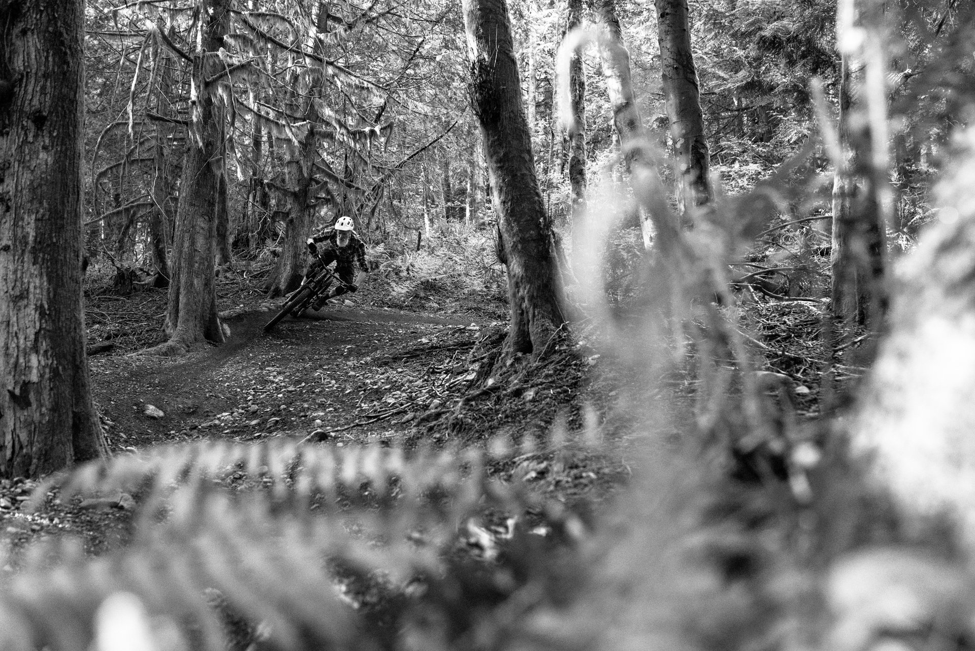 nsmb_2018_gearreview_zerode_taniwha-6785-18.jpg