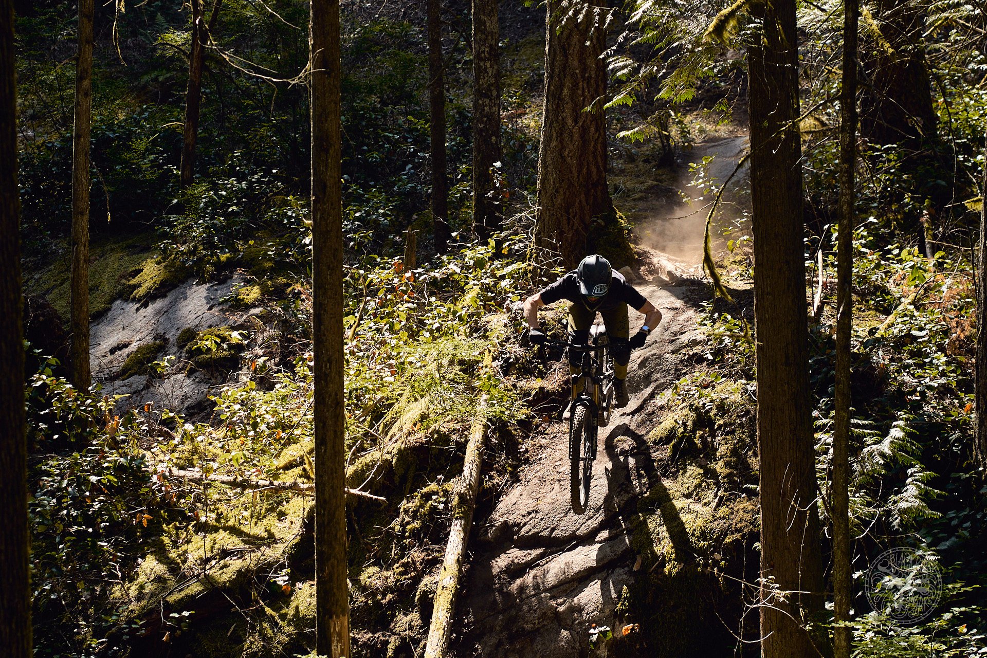 cannondale website