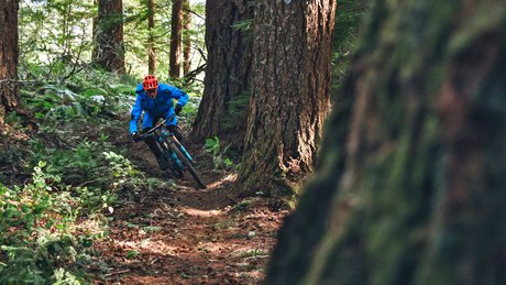 Oakridge Alpine Trail