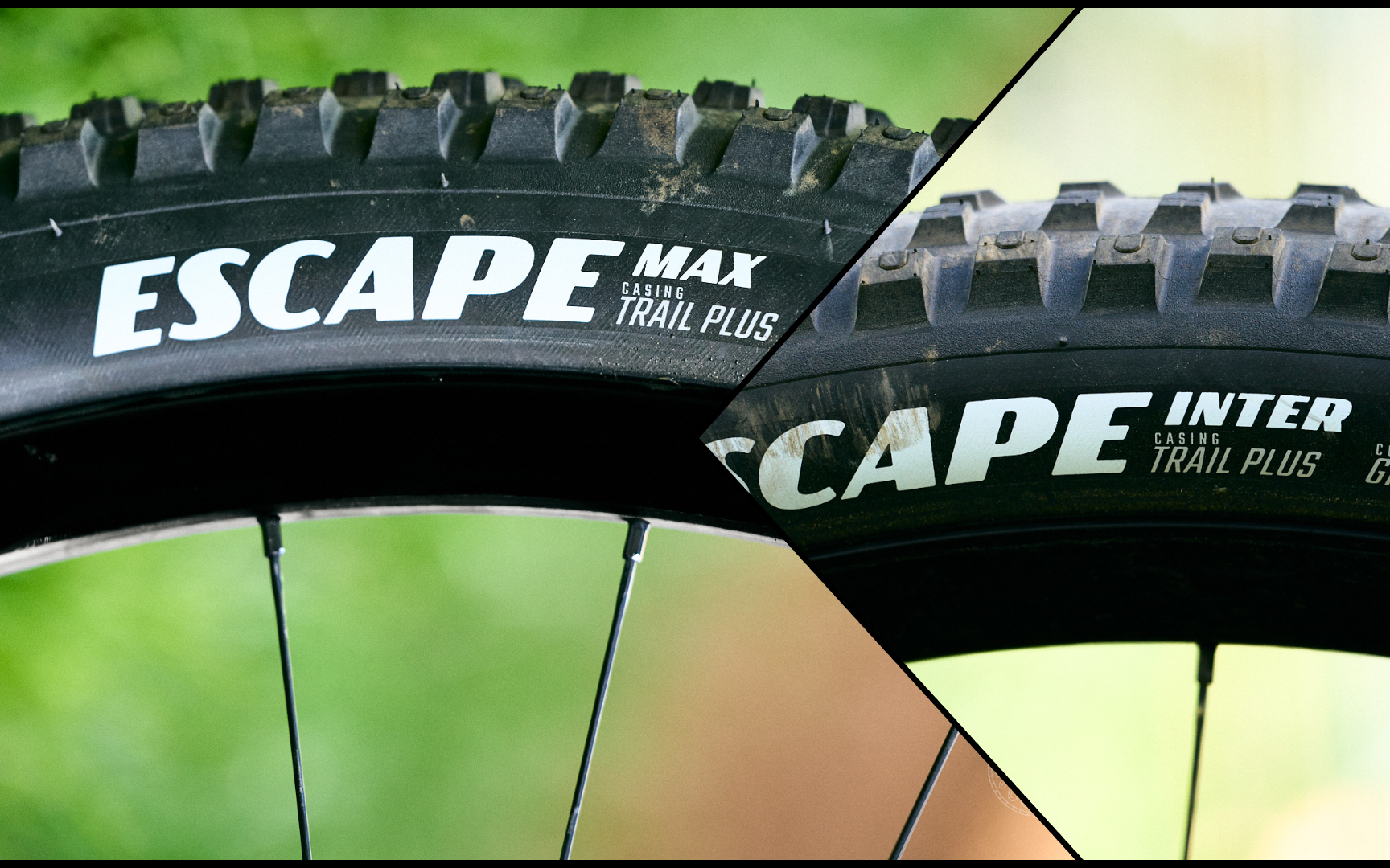 goodyear escape inter max tires