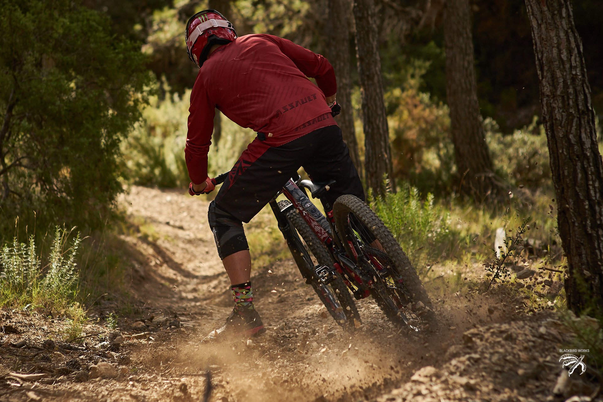 pistonsandpivots_borja_perez_suzuki_norco_hsp 79.jpg