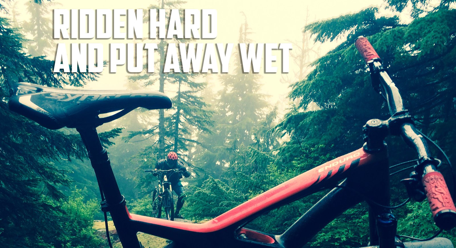 ridden-hard-and-put-away-wet