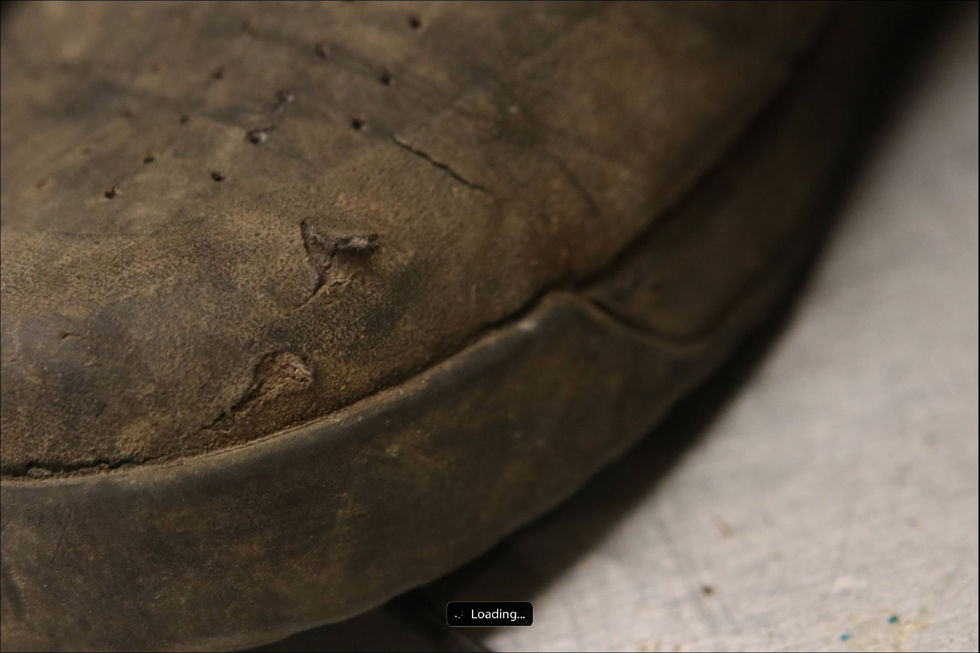 ride-concepts-shoe-update16.jpg