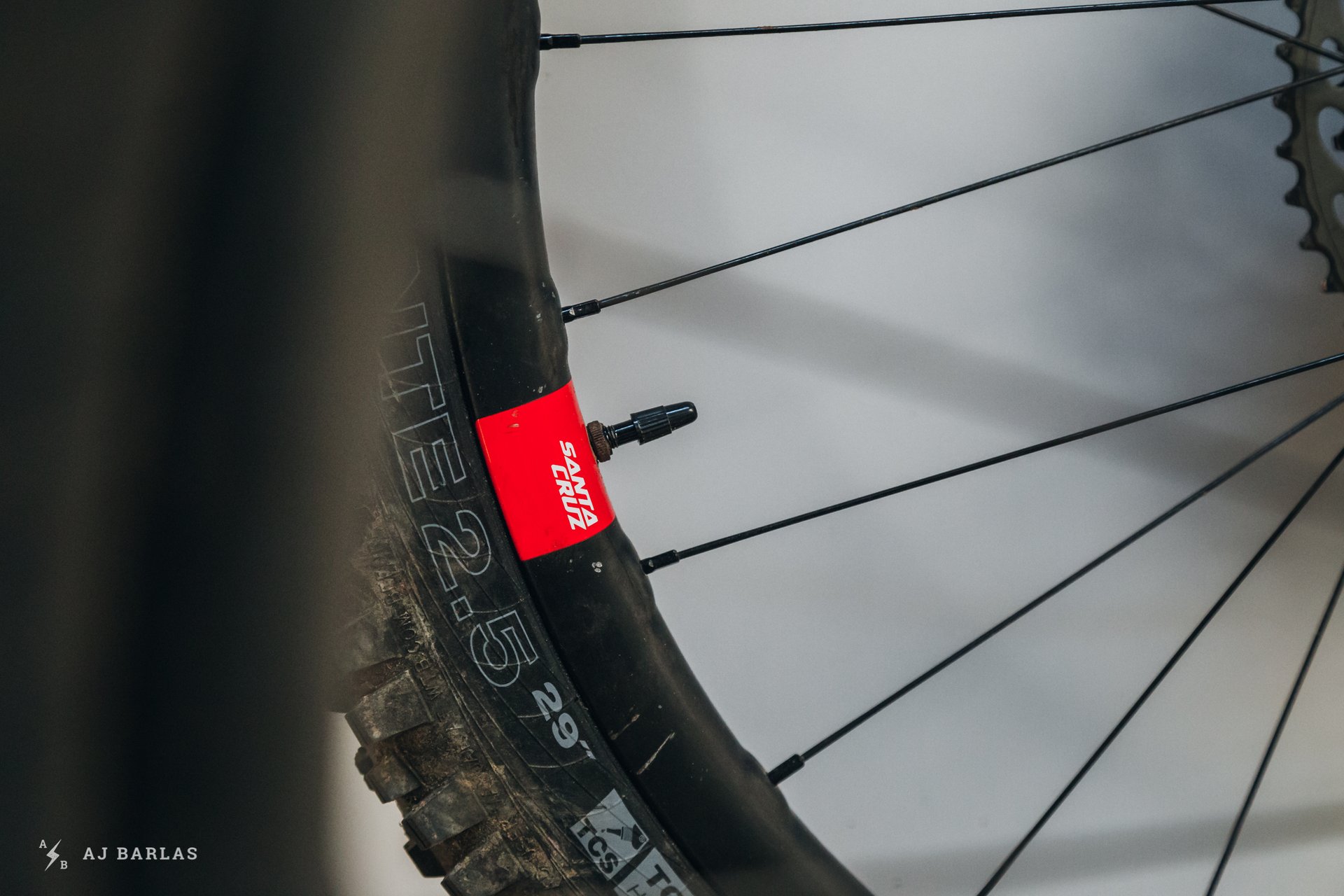 Supplied Tubeless Valve and Minimal Santa Cruz Branding