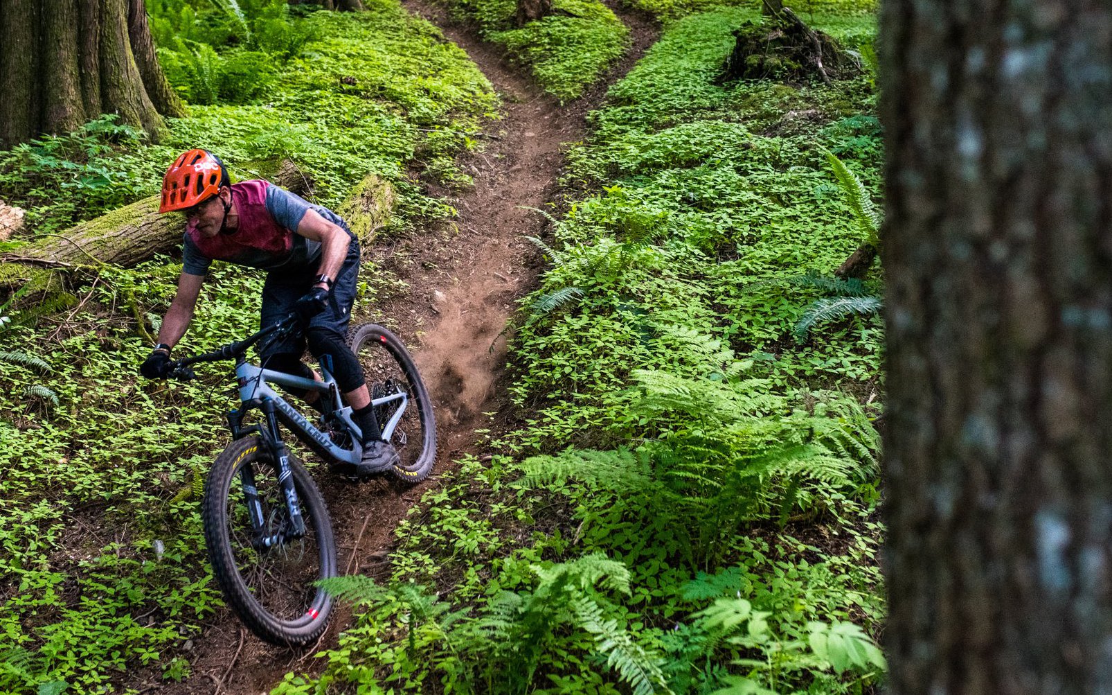 bronson mountain bike