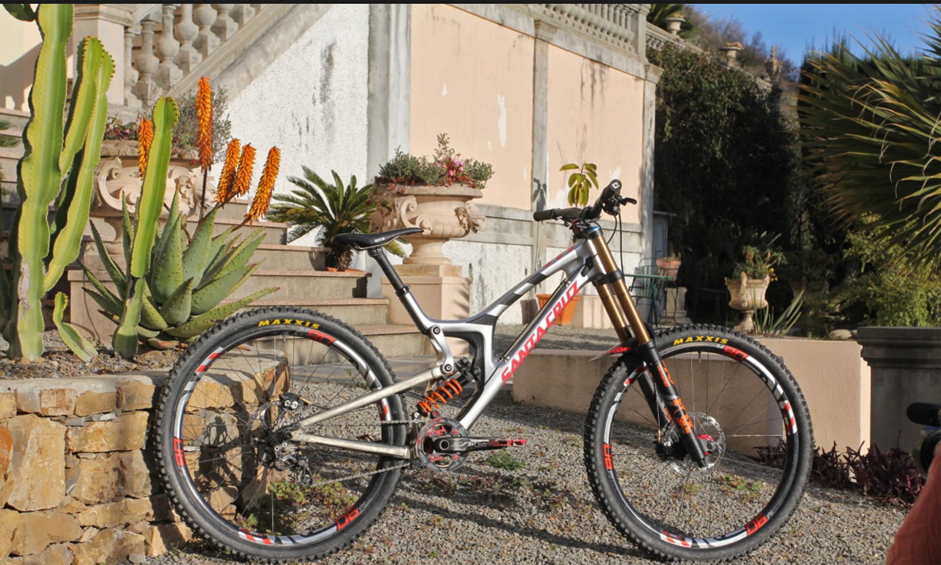 Santa Cruz V10