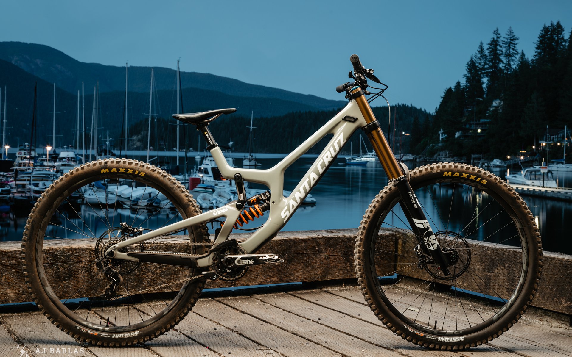 santa cruz v10 mountain bike