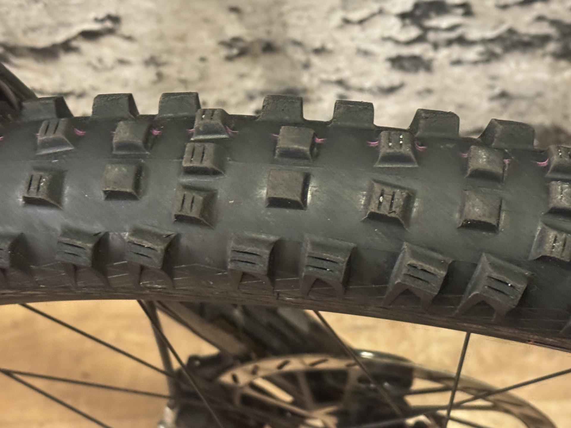 schwalbe radials