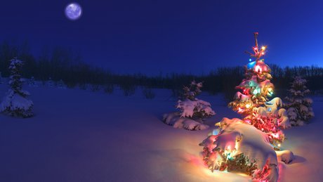 snow-covered_christmas_tree_lights_wallpaper_1920x1080.jpg