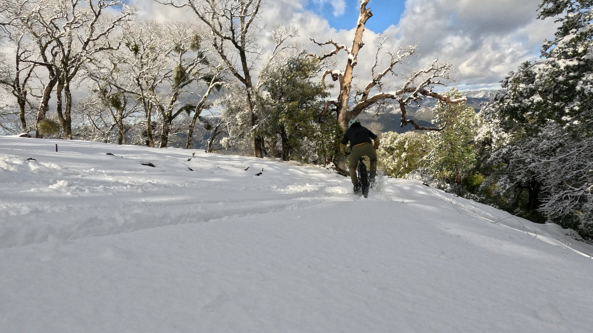 snowblurch