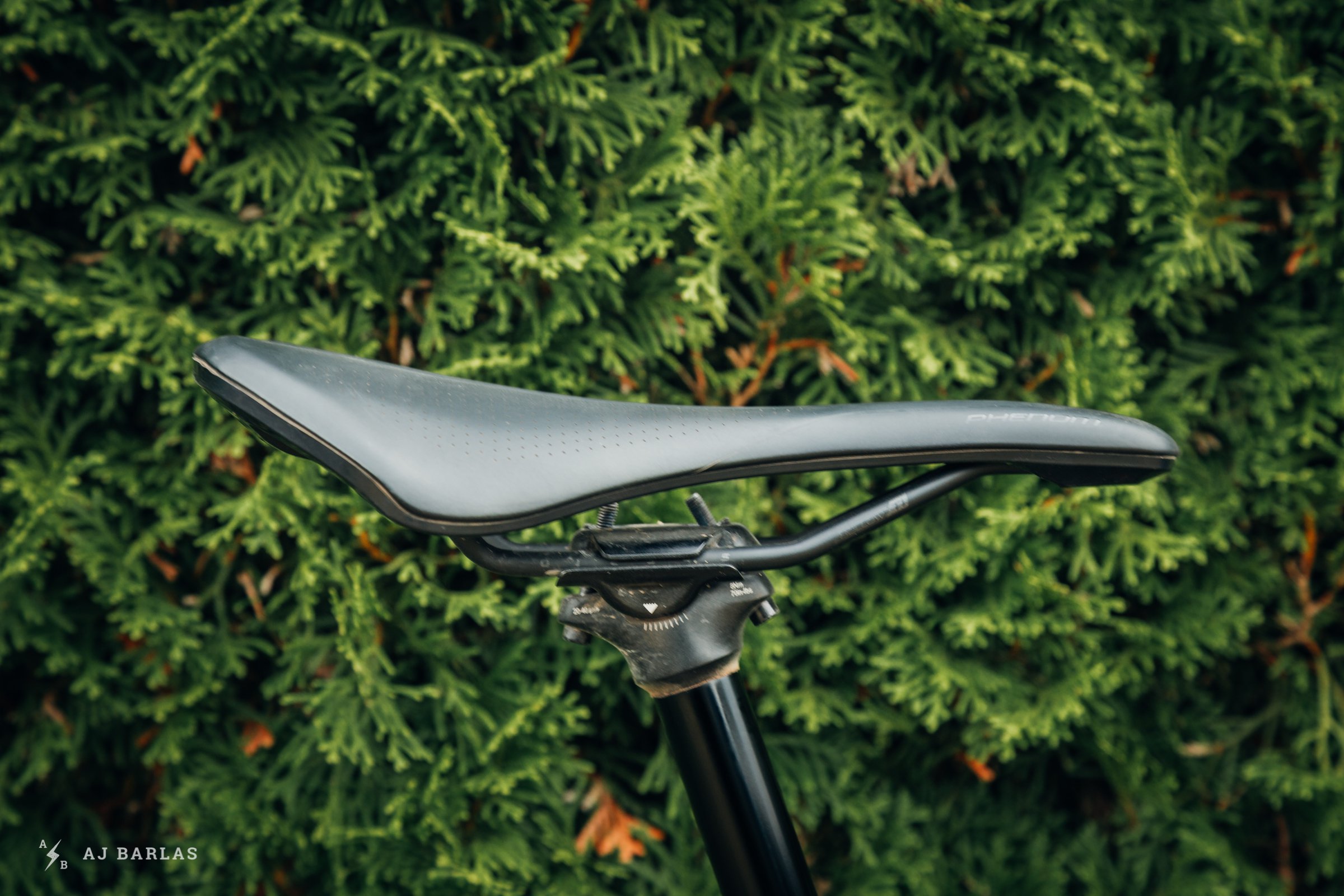 specialised body geometry saddle